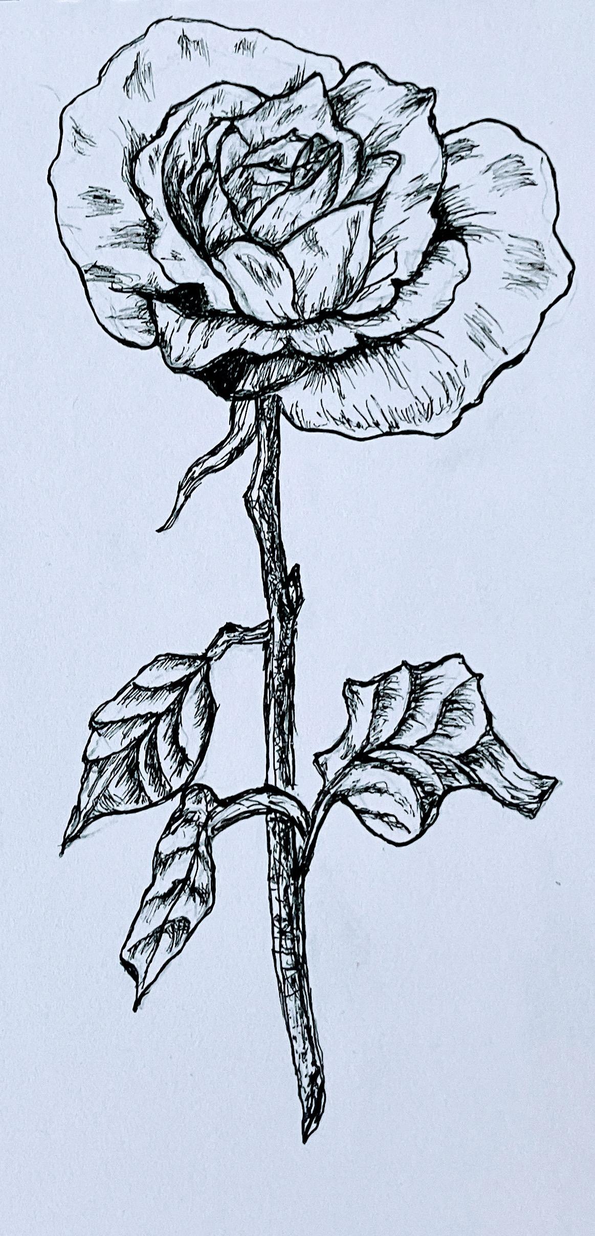10 - step Line Drawing: Learn to Draw Any Flower in 7 Days - image 1 - student project