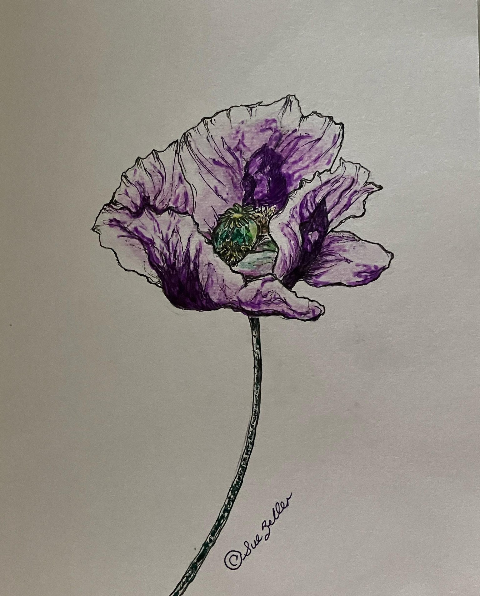 Painting a Watercolor Poppy: explore 3 watercolor styles - image 1 - student project