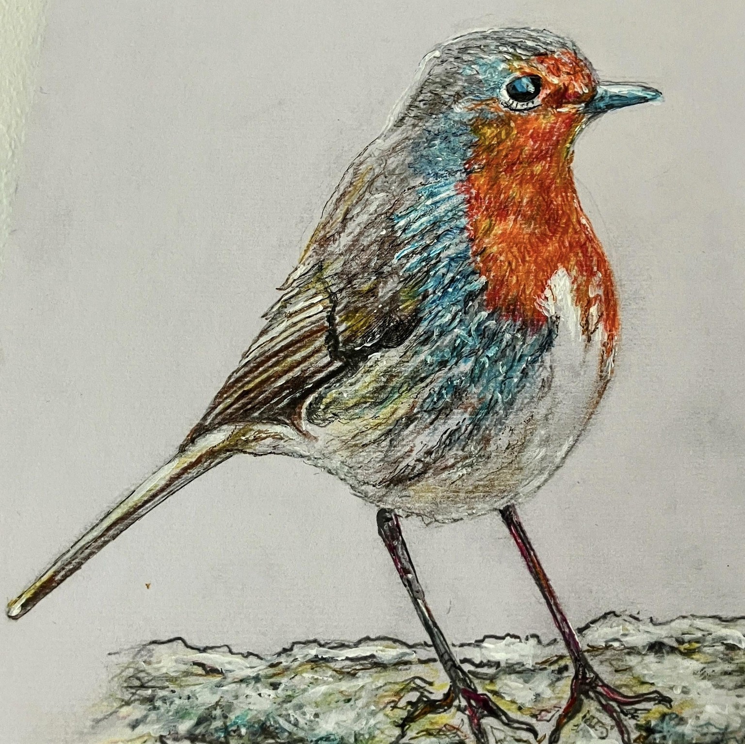 How to draw a Robin by Sue Zeller - image 1 - student project