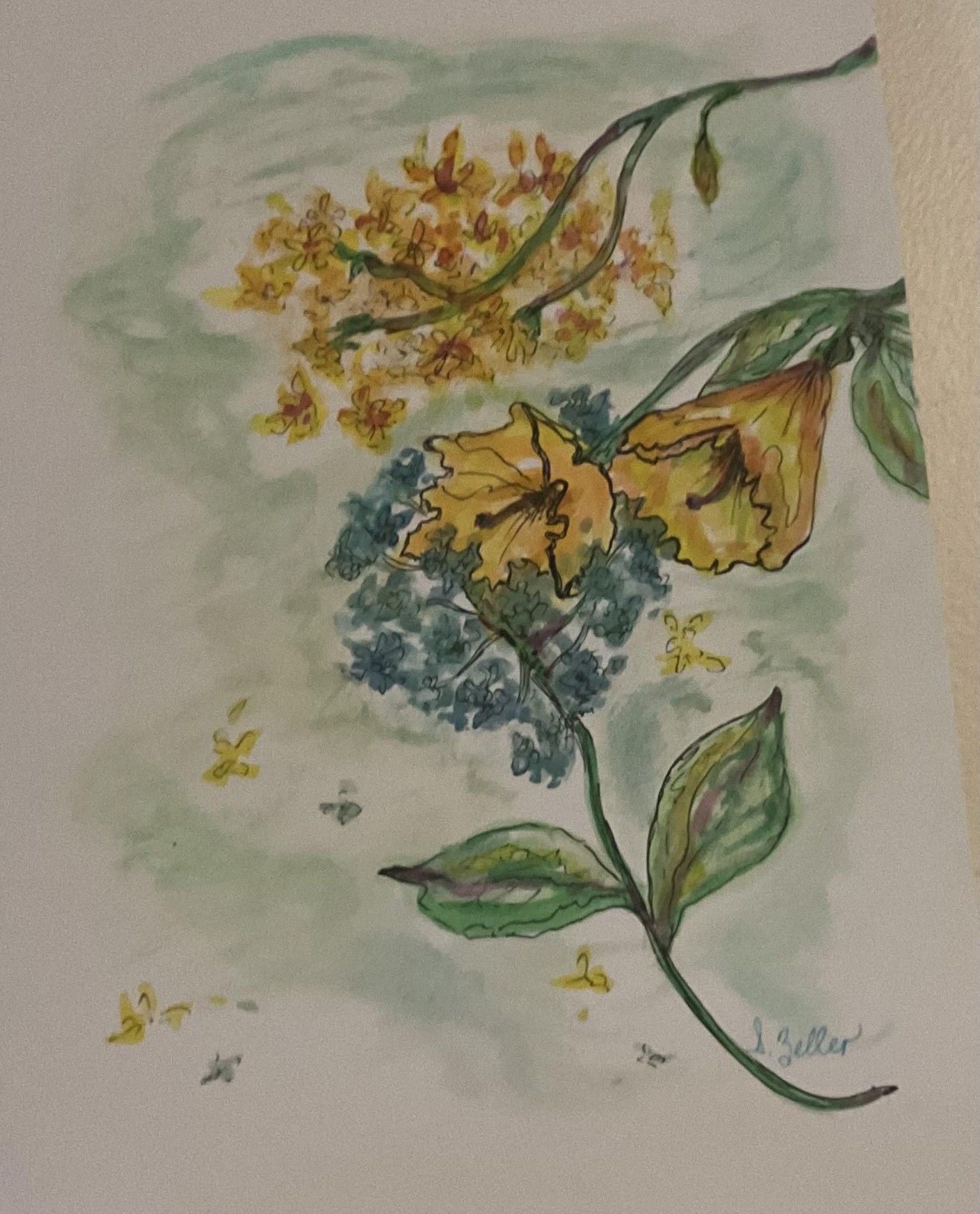 Live Encore: Paint Loose Watercolor and Ink Florals - image 1 - student project