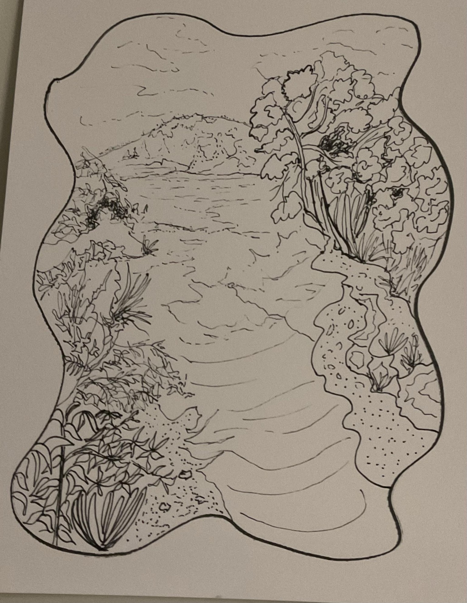 Pen & Ink: Stylized Line Landscapes - image 1 - student project
