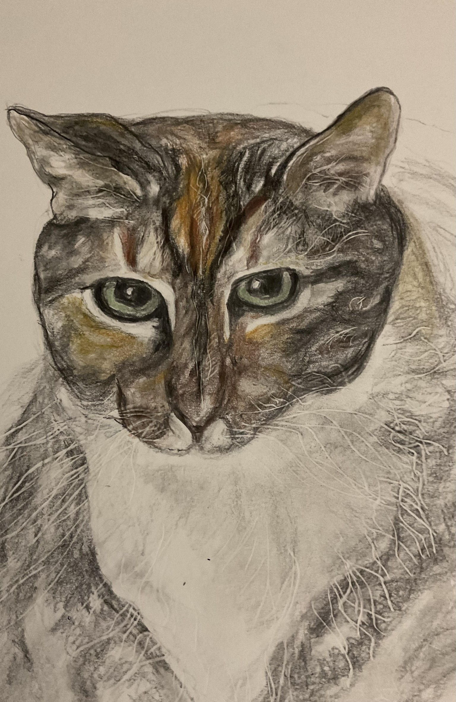 Art of Texturing Animal Fur - image 4 - student project