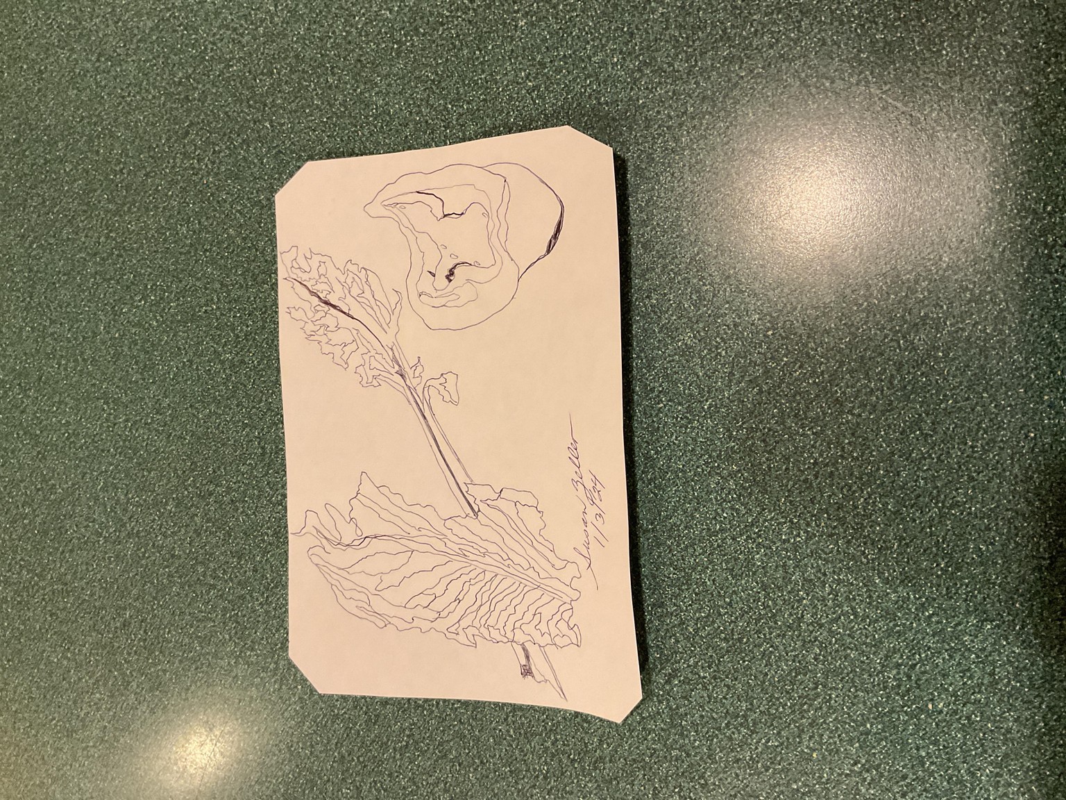 Line Drawing - image 1 - student project