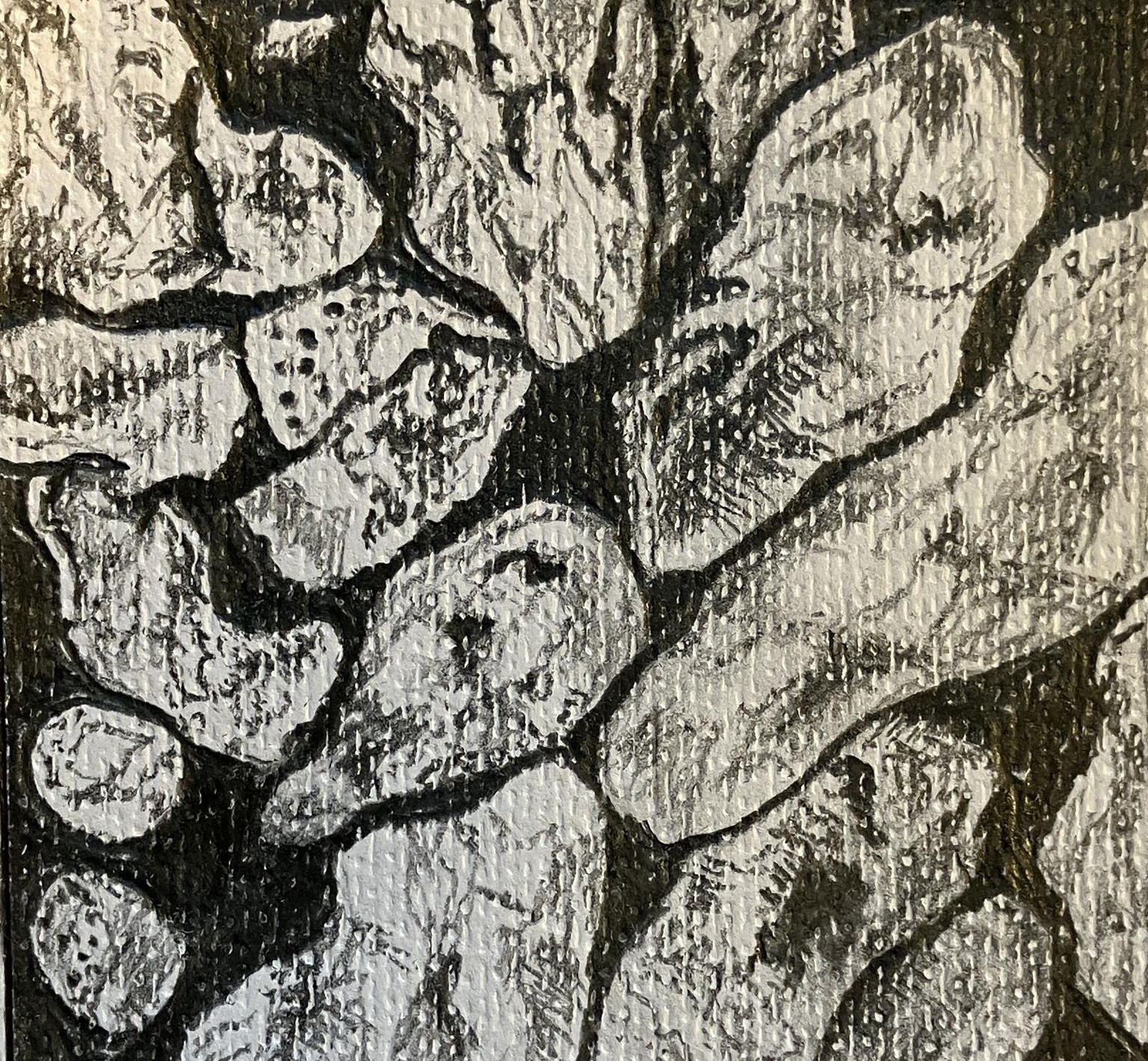 Art Essentials: TEXTURE/Improve Pencil Techniques to Draw Realistic Textures - image 1 - student project