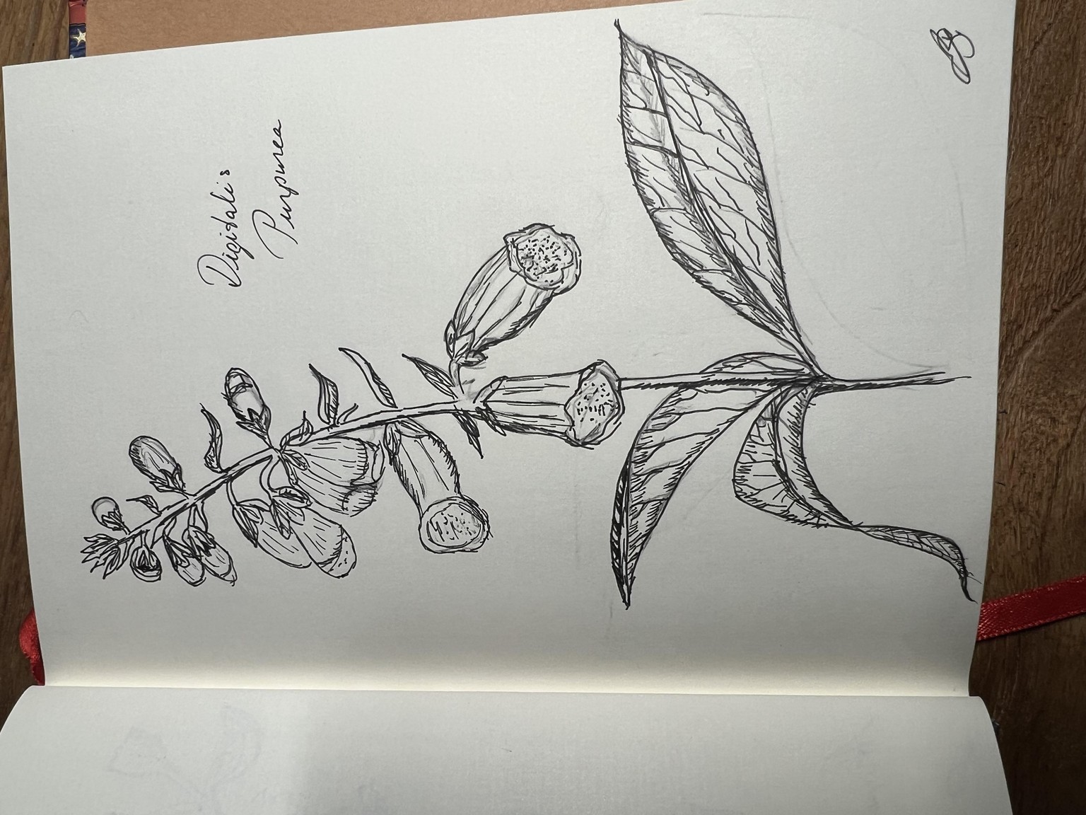 Poisonous plants. - image 1 - student project