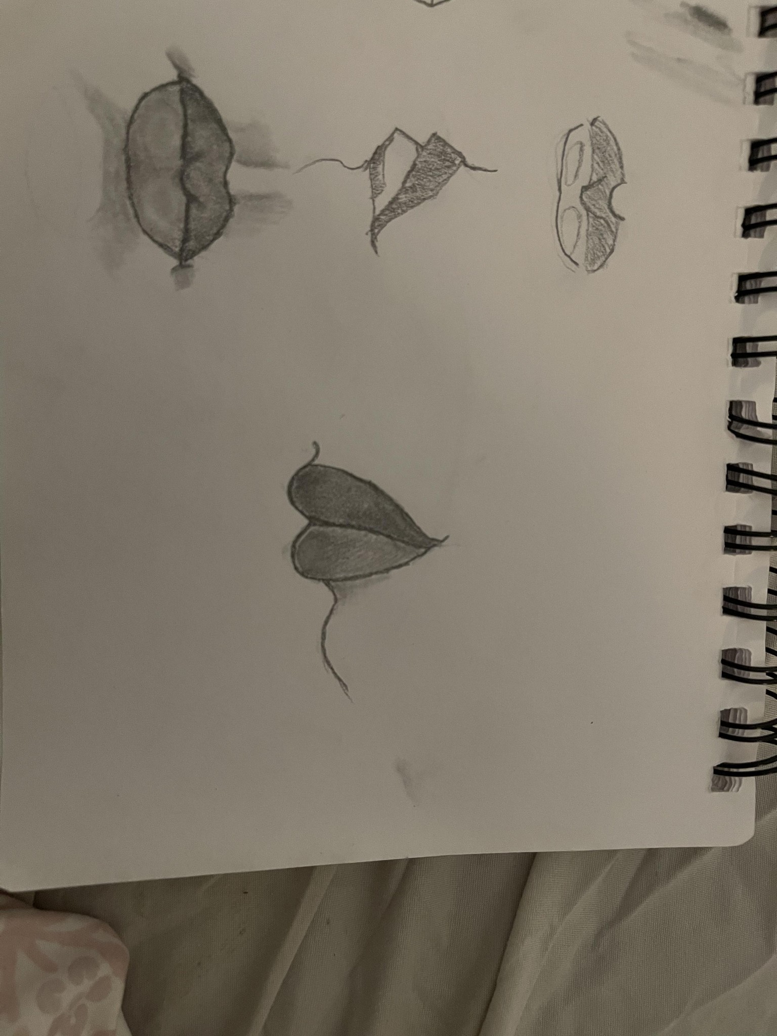 Drawing Lips - image 2 - student project