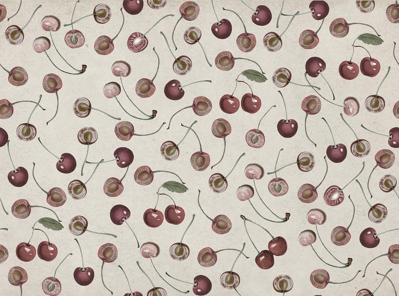 CHERRIES - image 1 - student project