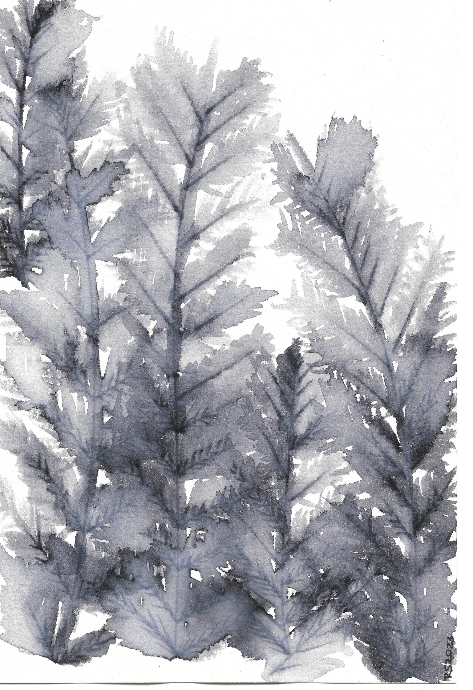 First try of watercolor botanicals - image 2 - student project