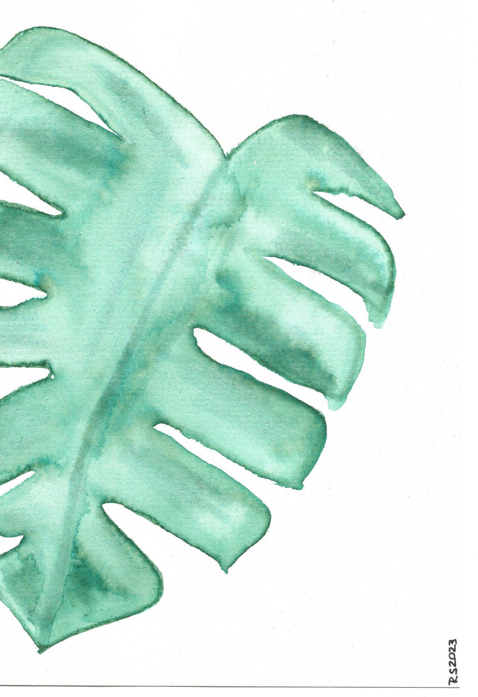 First try of watercolor botanicals - image 1 - student project