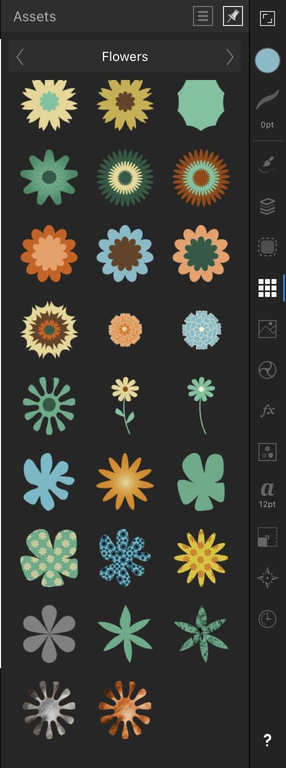 Affinity Designer Class 4 - image 2 - student project
