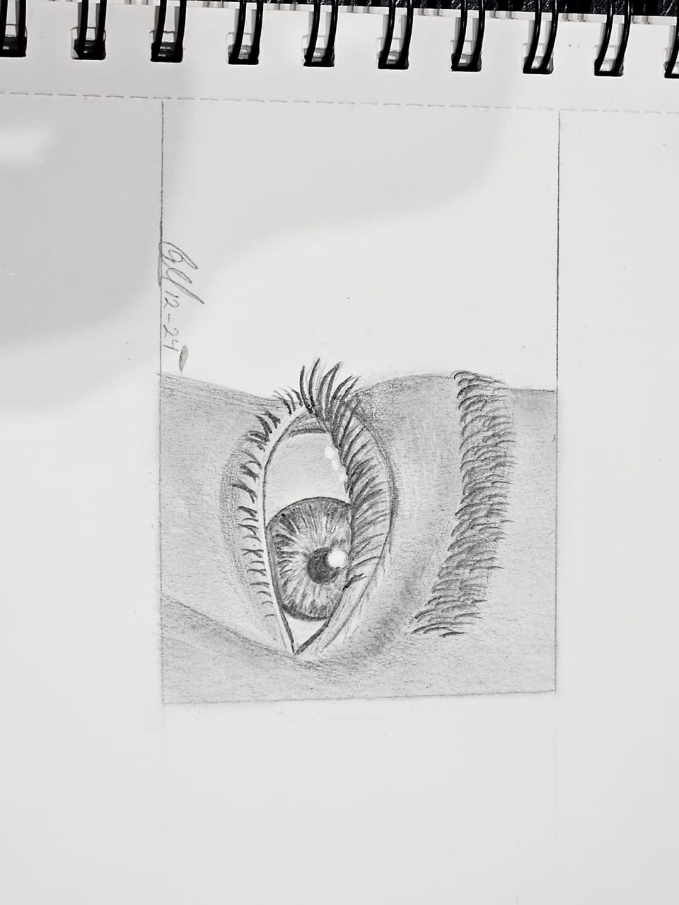 Mastering Facial Feature Drawing: Pencil Drawing Essentials - image 1 - student project