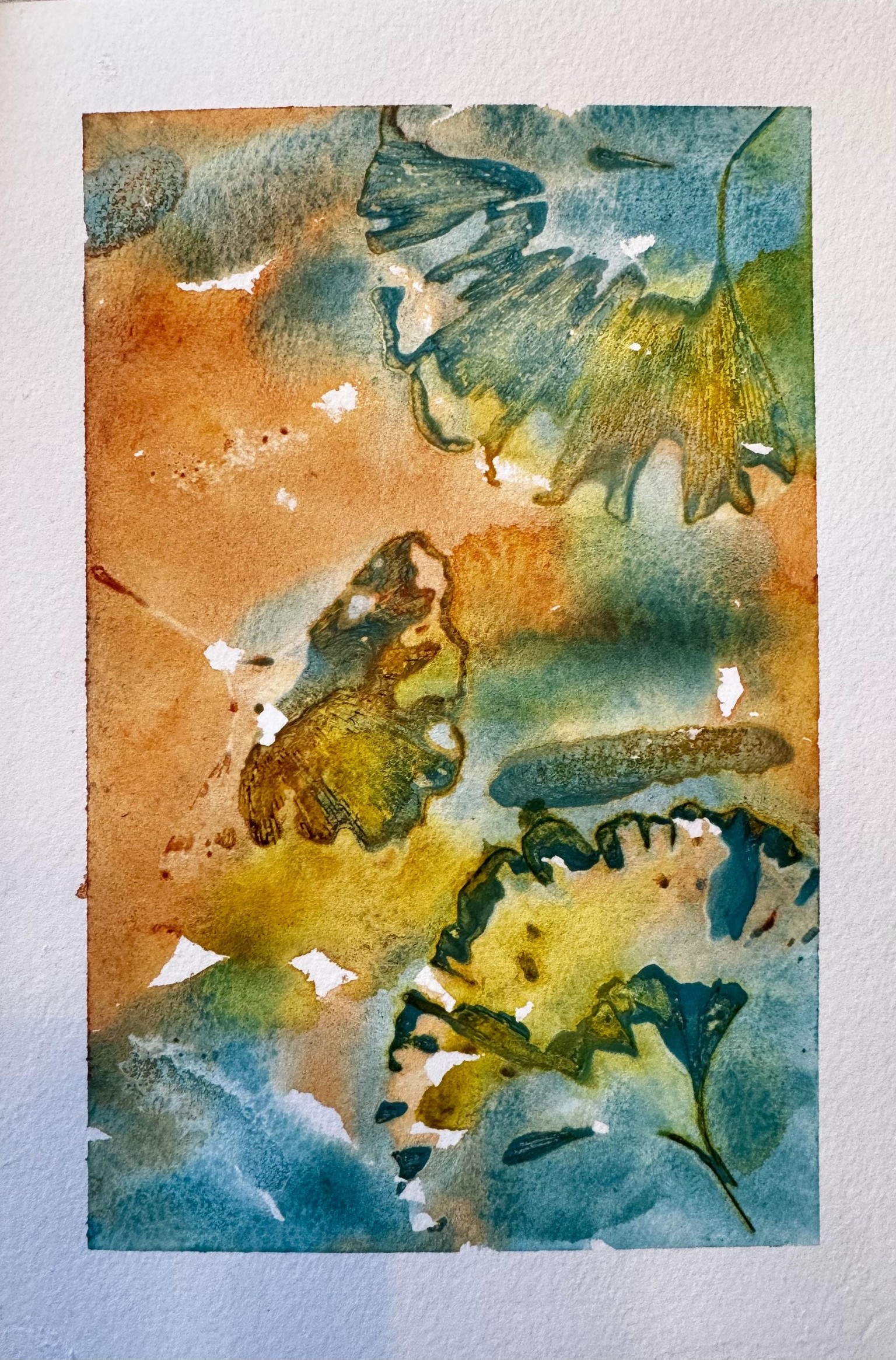 Ginkgo leaves - image 1 - student project