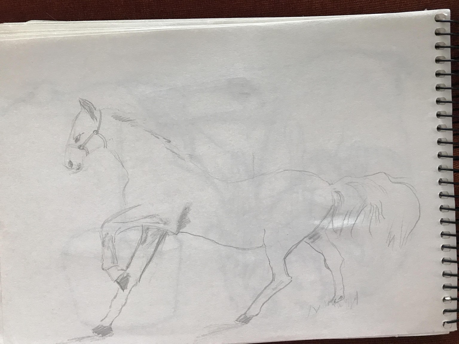 my baby steps in drawing - image 2 - student project