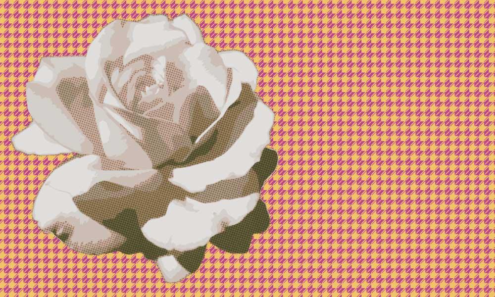 Houndstooth pattern with halftone rose - image 2 - student project