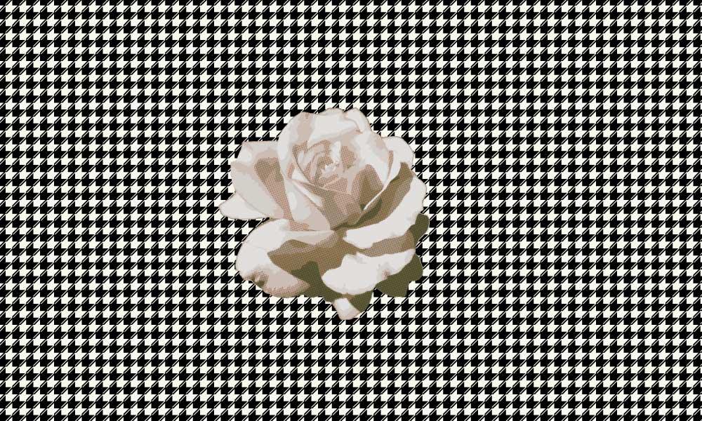 Houndstooth pattern with halftone rose - image 1 - student project