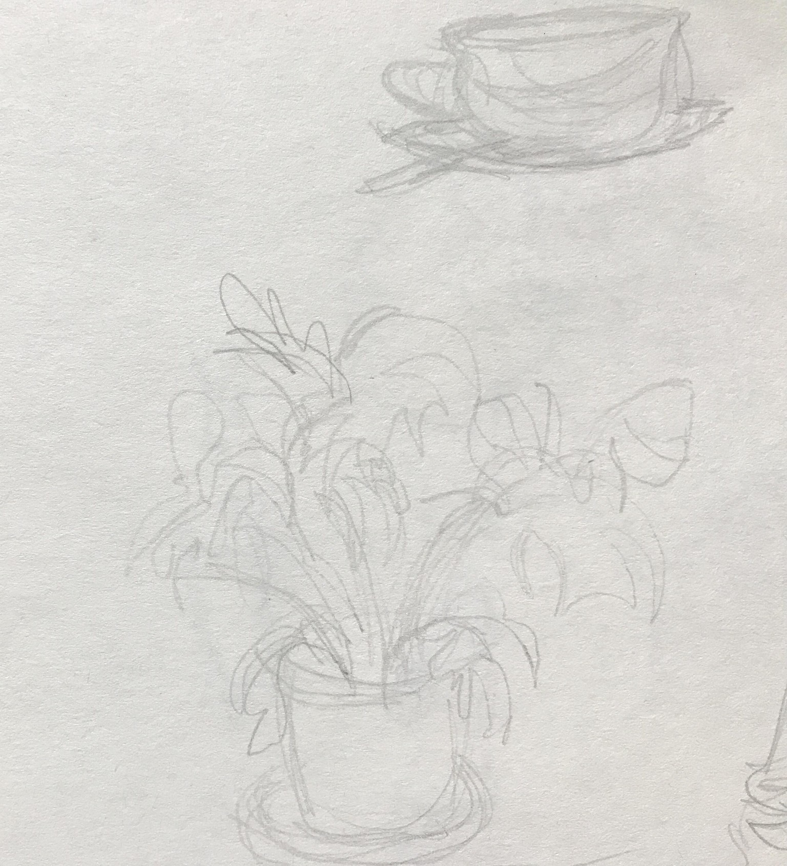 my baby steps in drawing - image 4 - student project