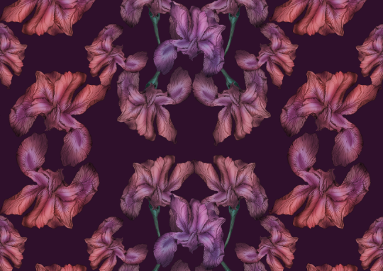 Magical Iris Floral Study - image 4 - student project