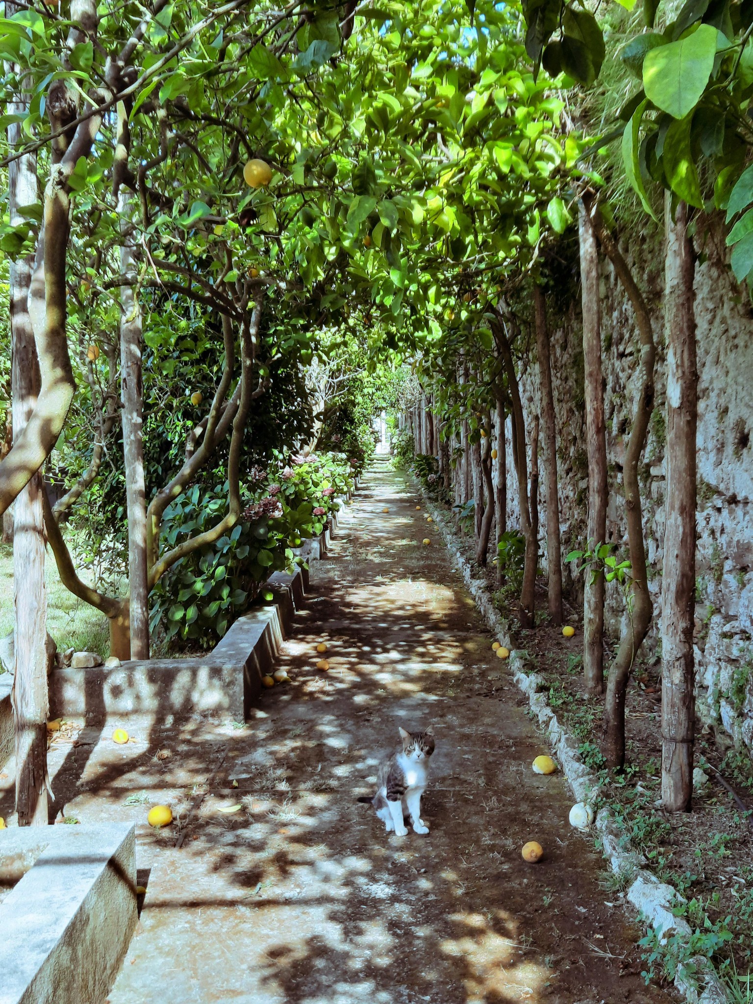 All over Italy - image 3 - student project