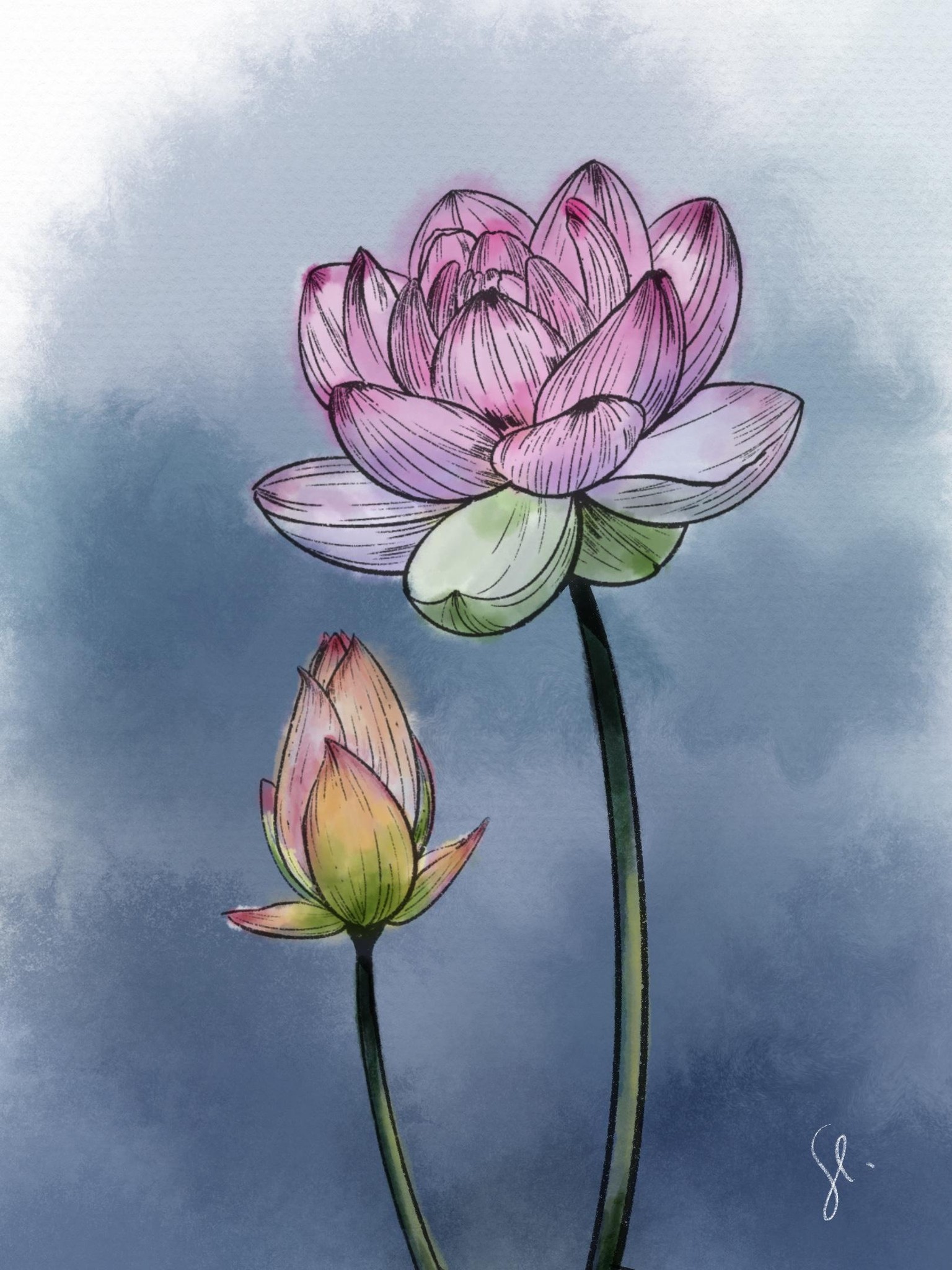 Lotus - image 1 - student project