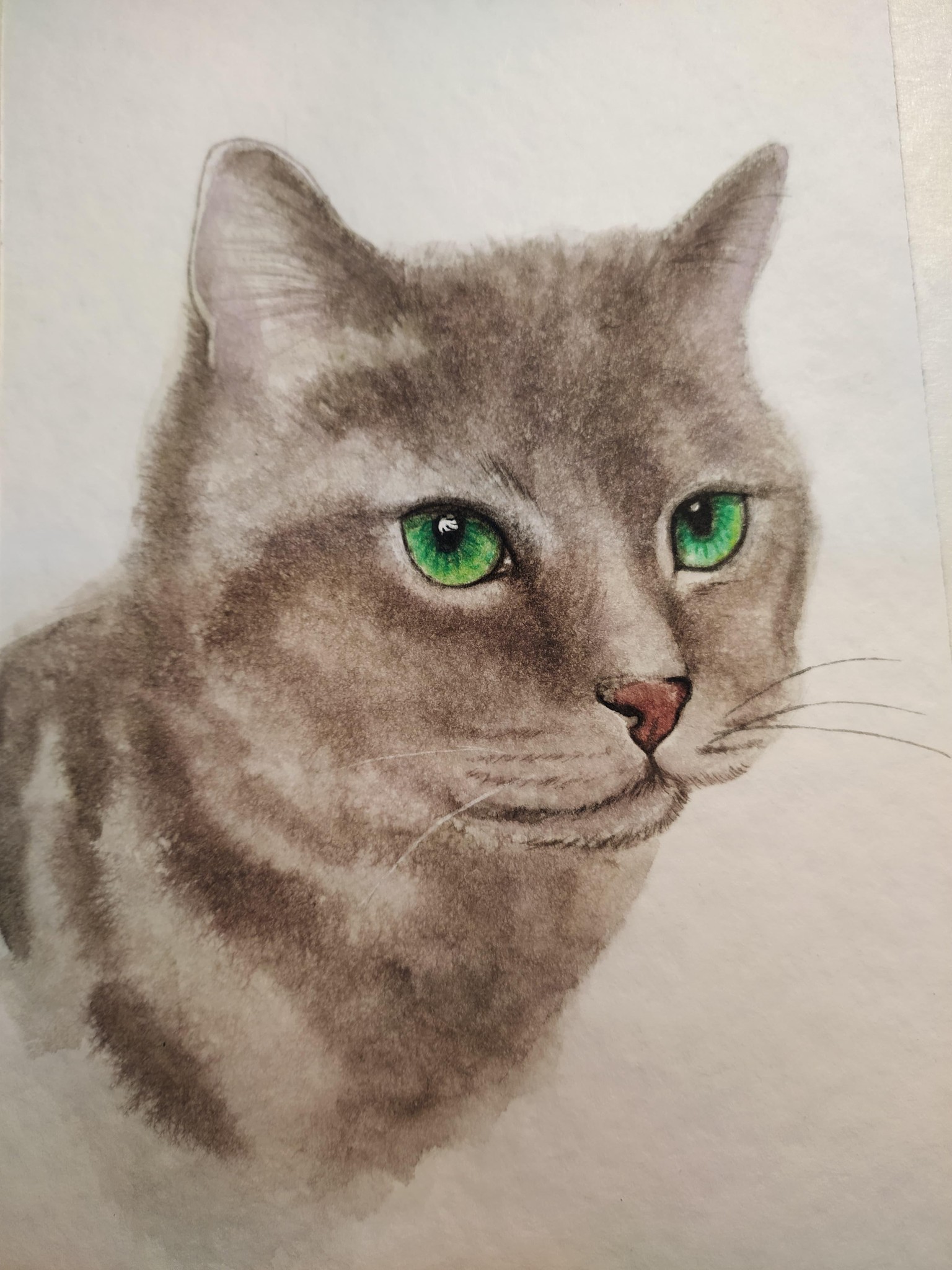 Gatito con Grises - image 1 - student project