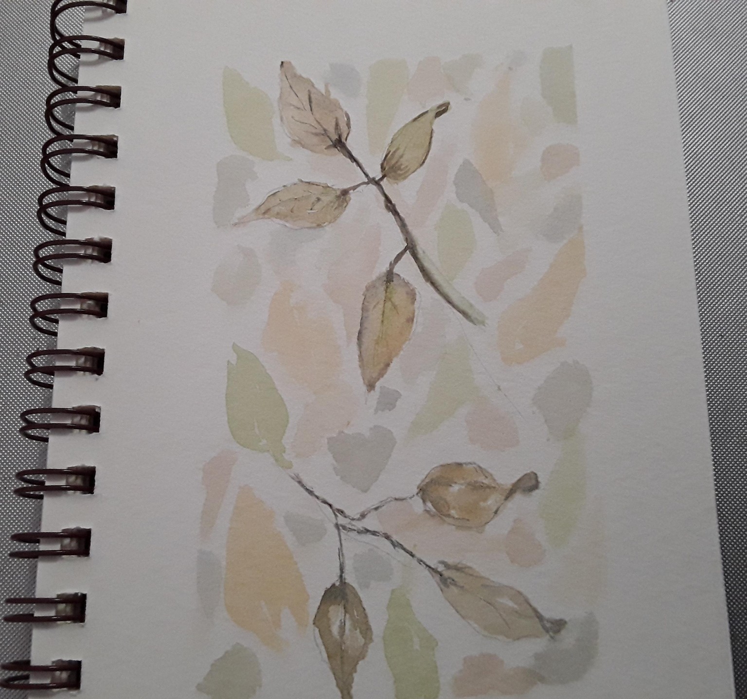 Forest Floor - image 1 - student project