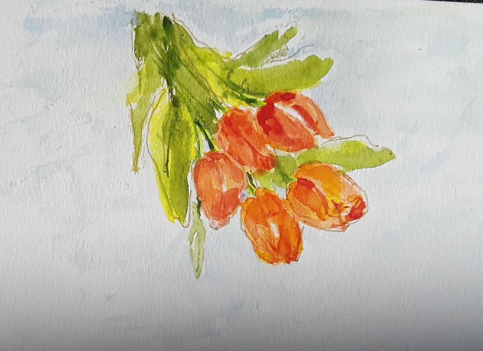 Fast tulips - image 1 - student project