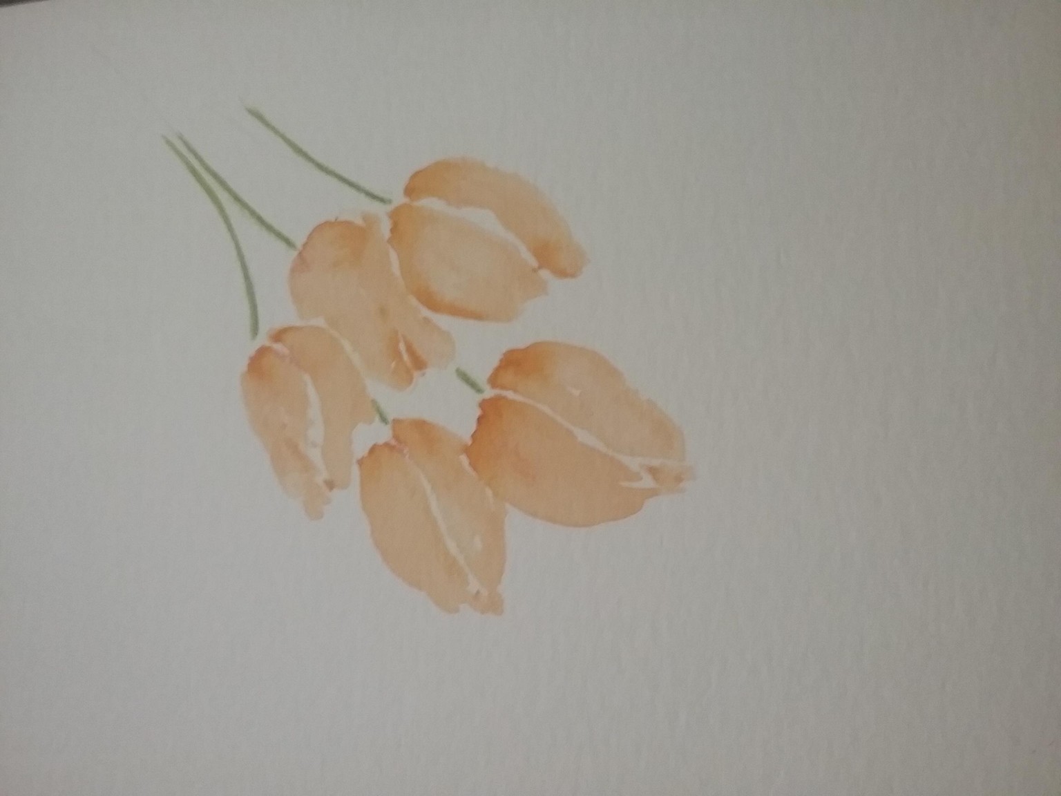 Fast tulips - image 2 - student project