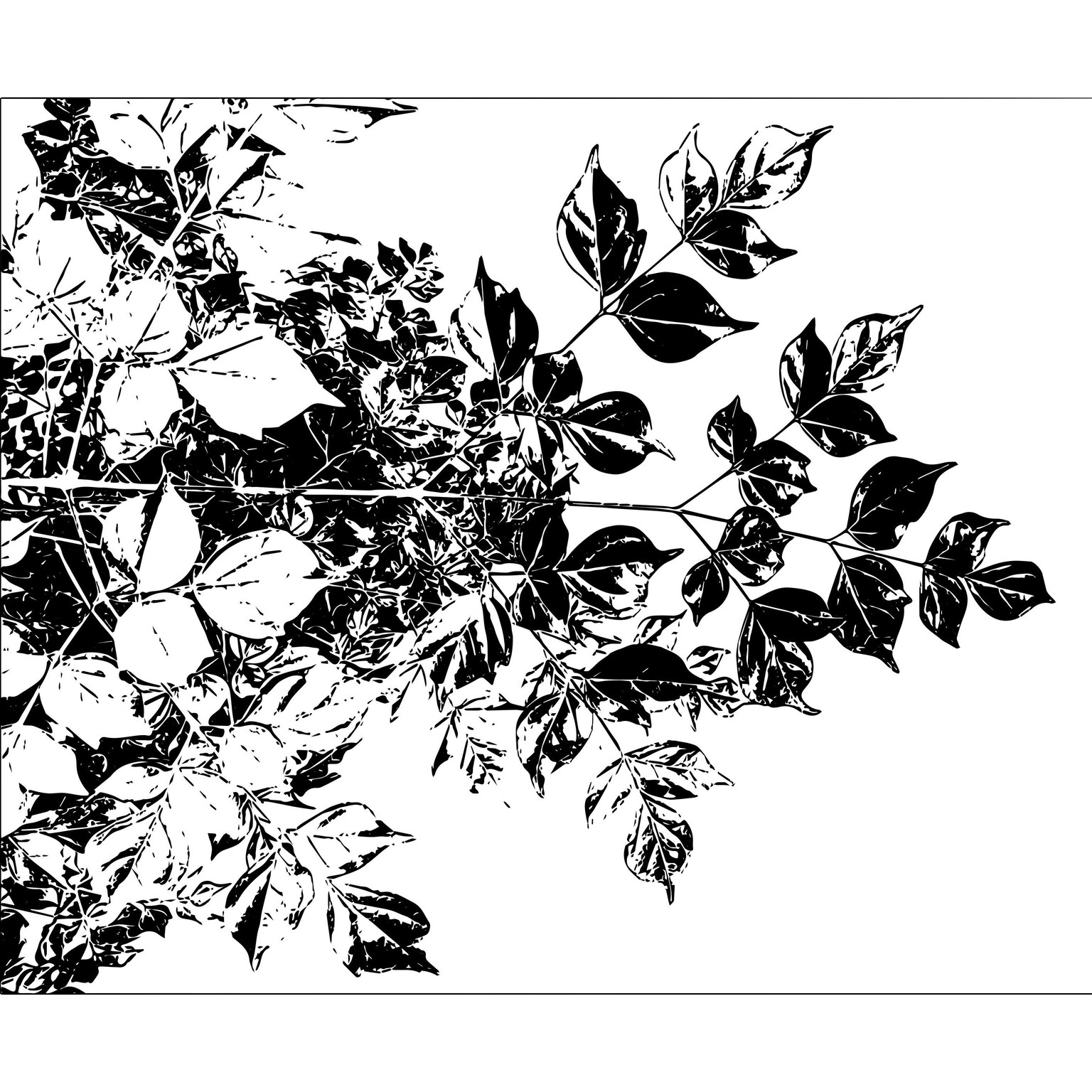 Textures - image 2 - student project