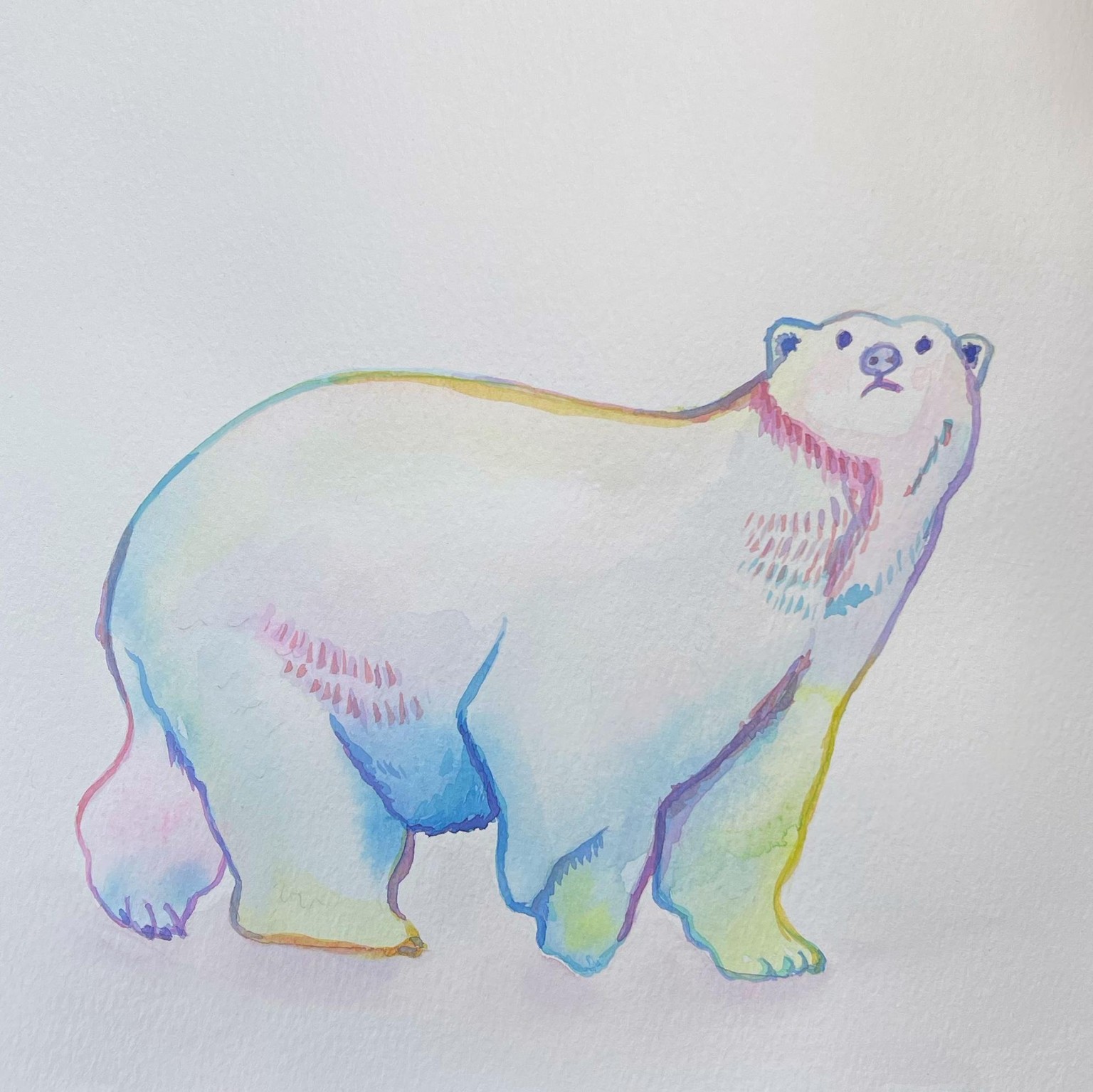 Cotton Candy Polar Bear - image 1 - student project