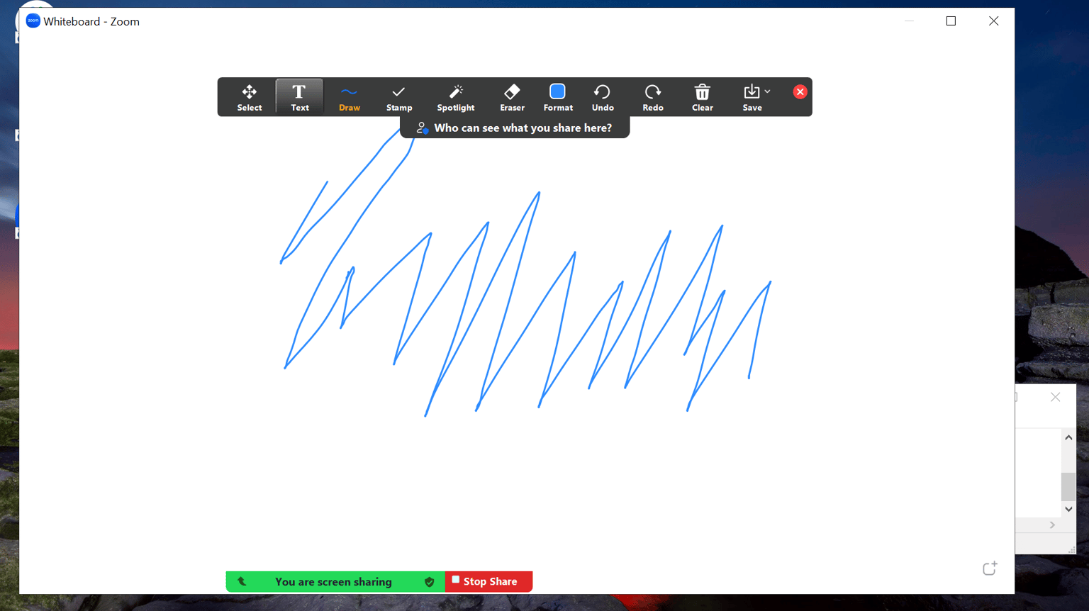 Zoom Meeting with Whiteboard - image 1 - student project