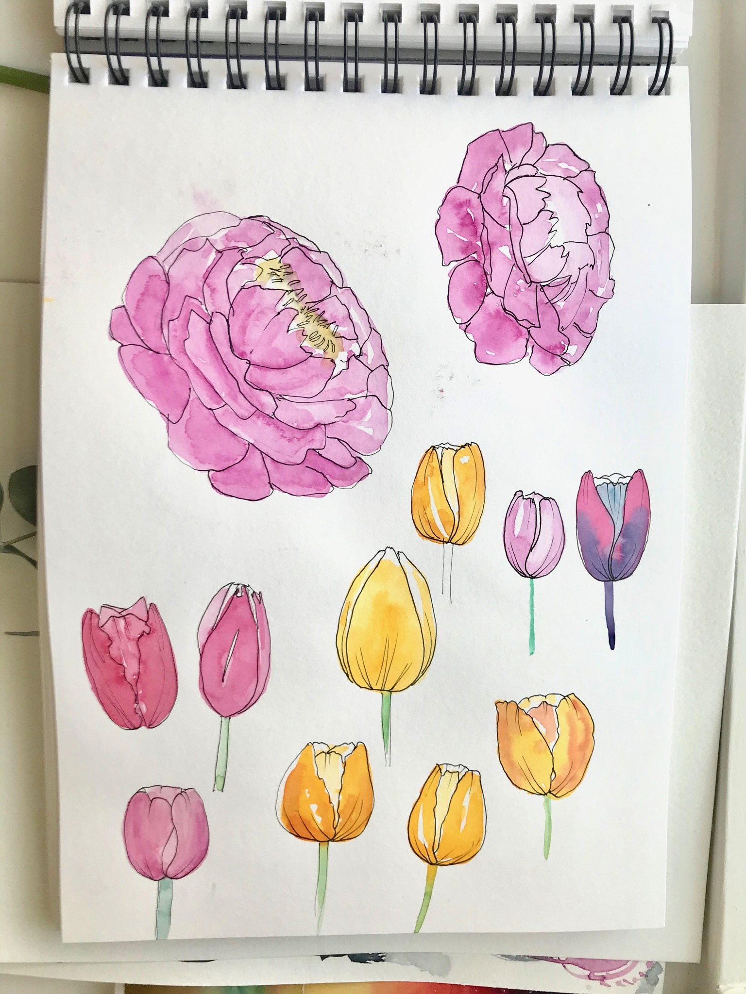 My project: Loose Florals in Watercolor and Ink - image 2 - student project