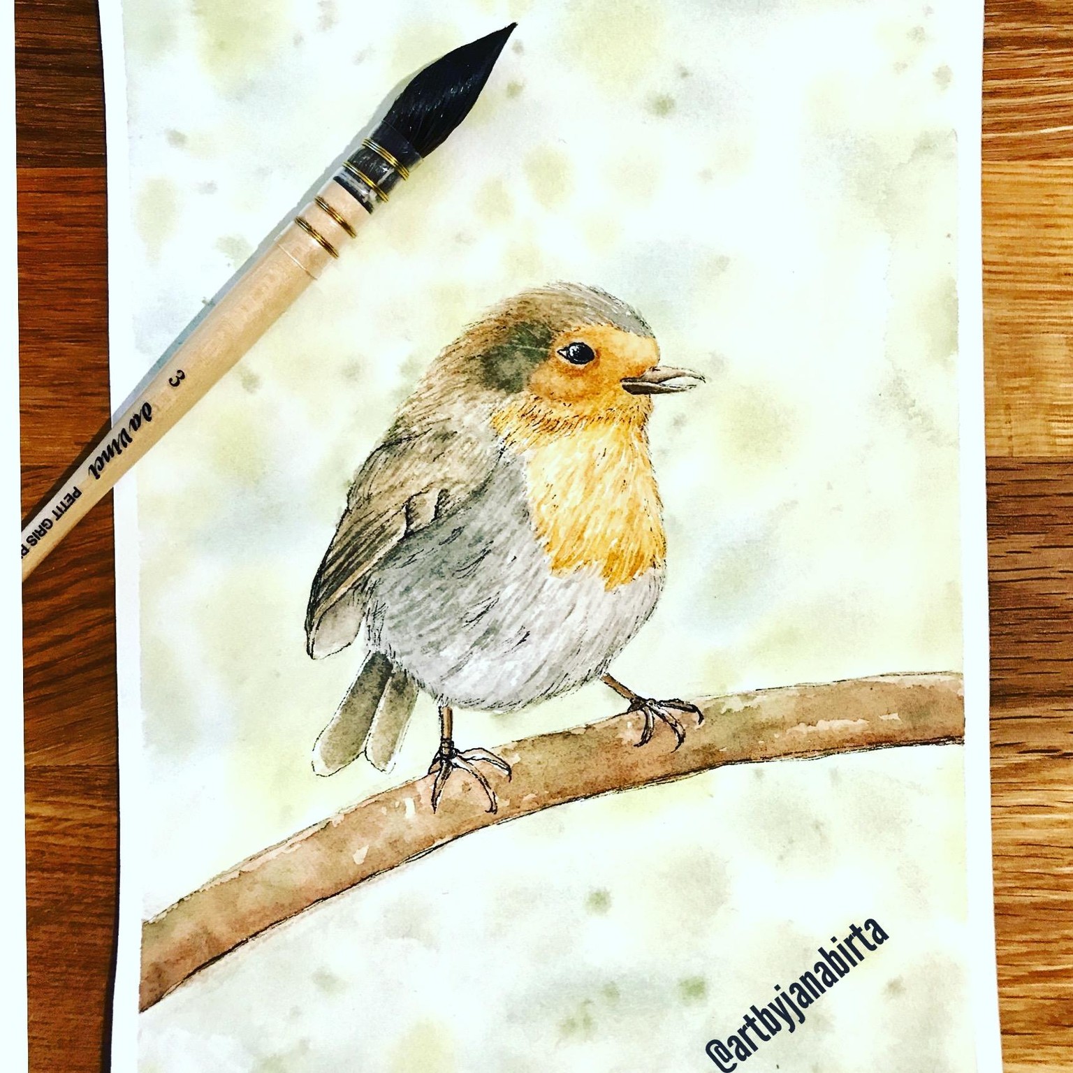 Basic Watercolor & Ink Illustration: Songbirds - image 3 - student project