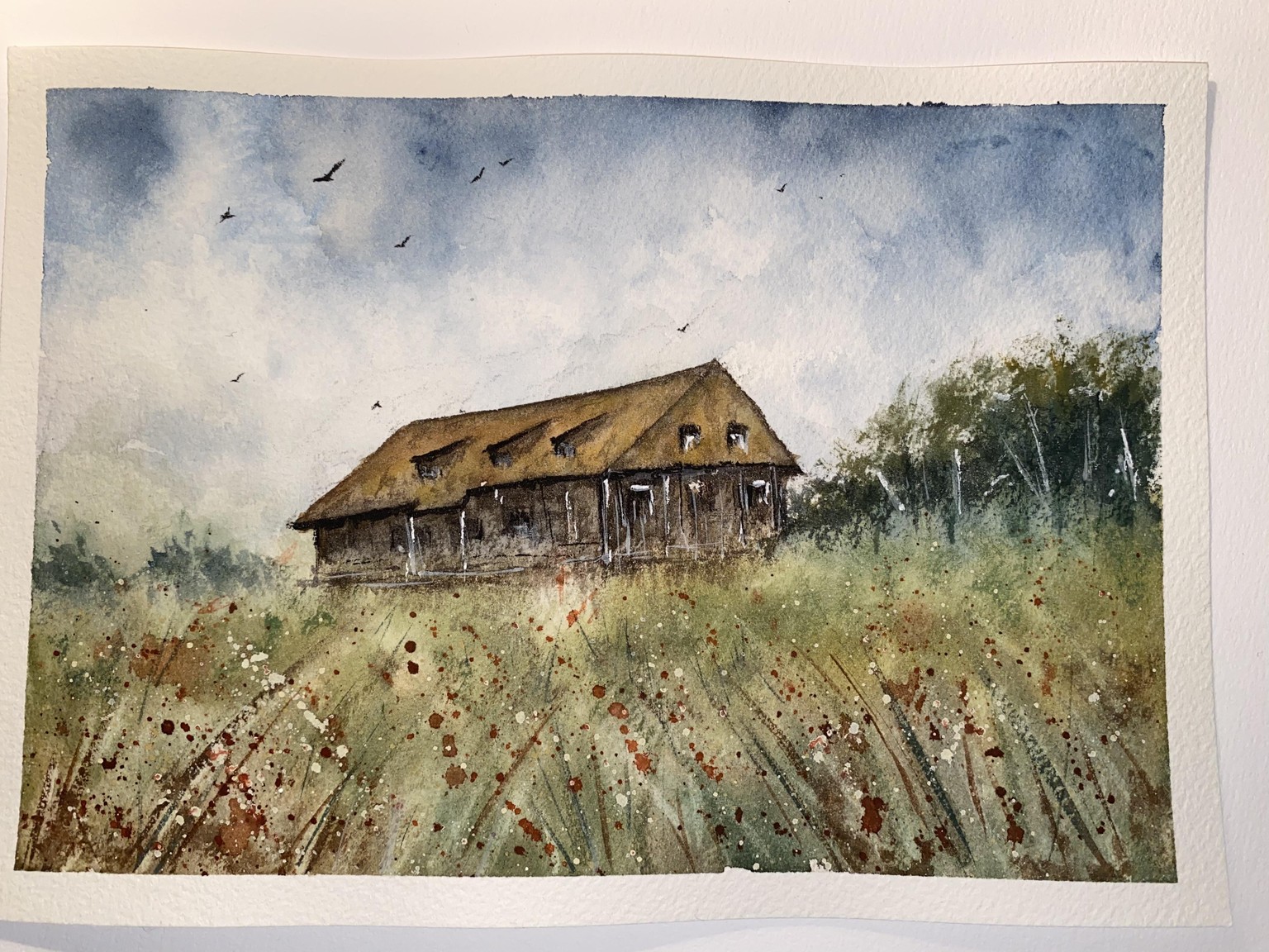 Barn in a field - image 1 - student project
