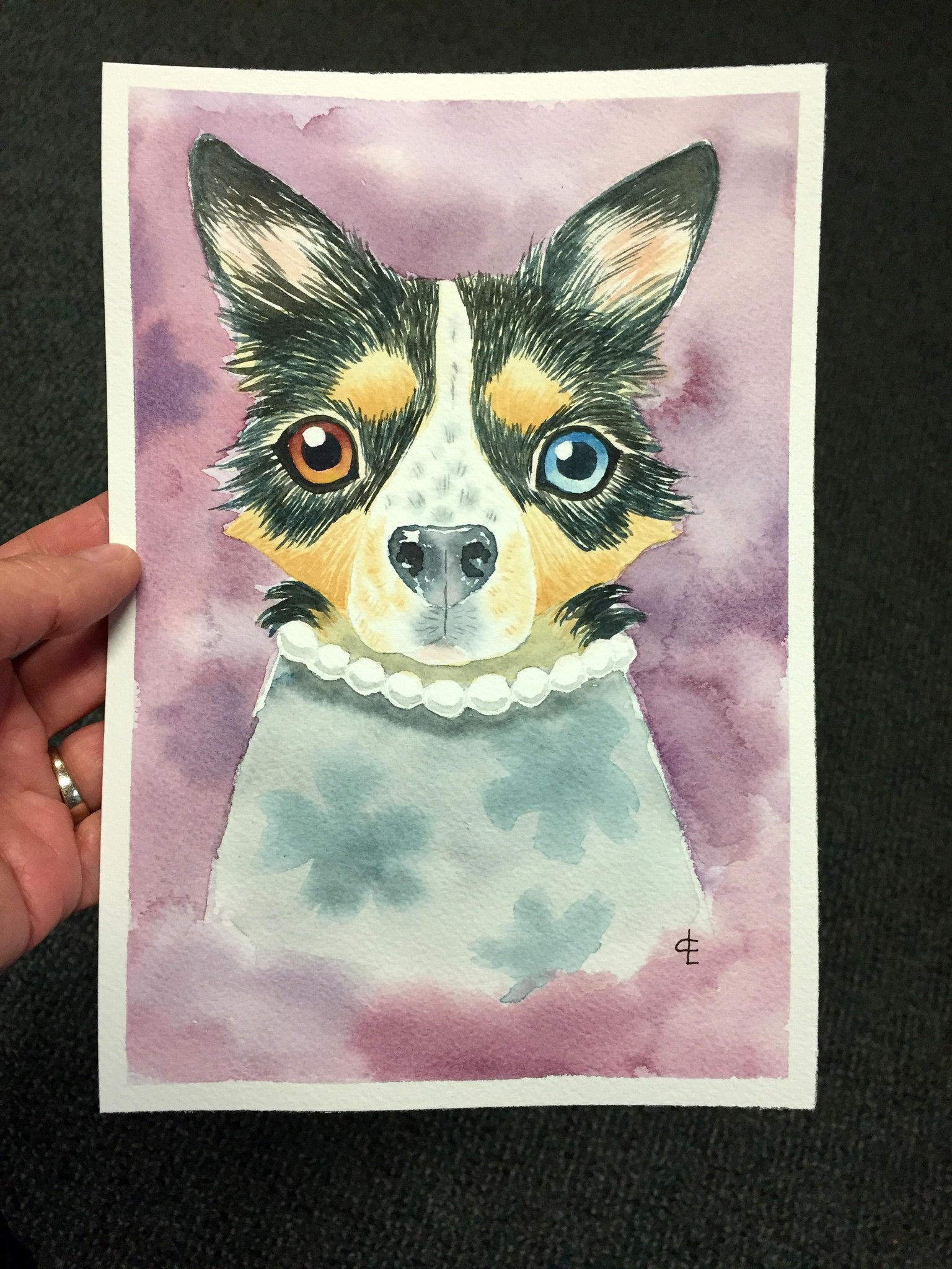 My Dog: Boo - image 3 - student project