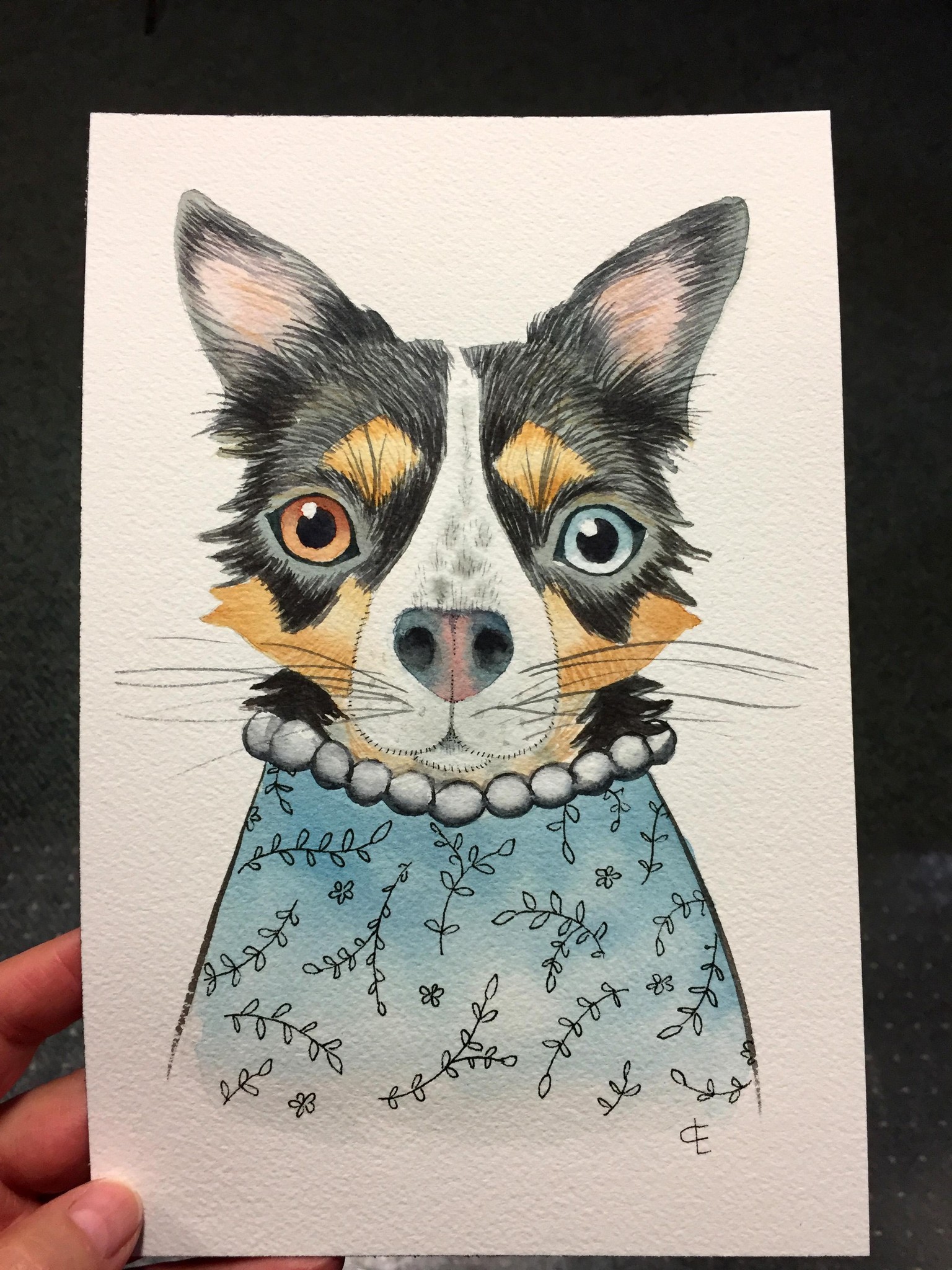 My Dog: Boo - image 2 - student project