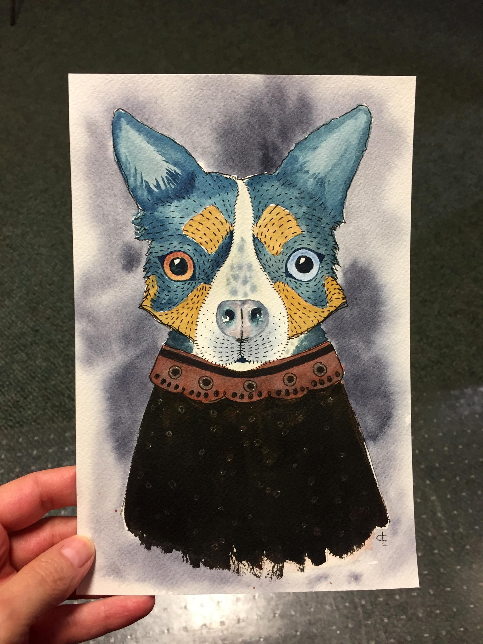 My Dog: Boo - image 1 - student project