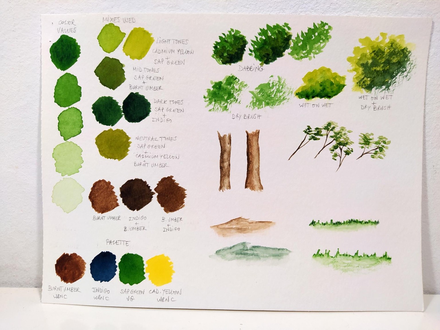 Trees, trees & trees - image 1 - student project