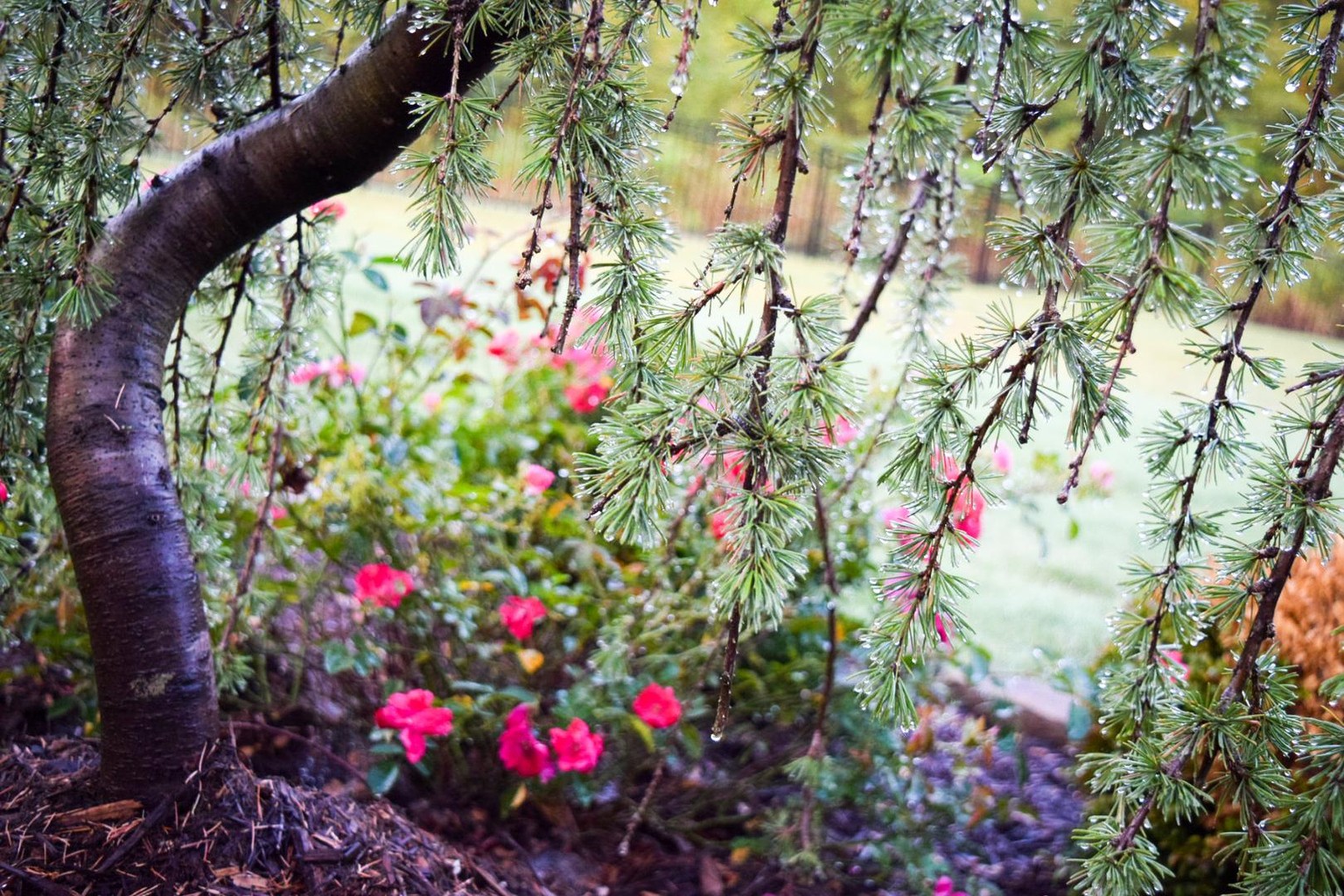 Mode A - f3.5. Nikon D5300 - image 1 - student project