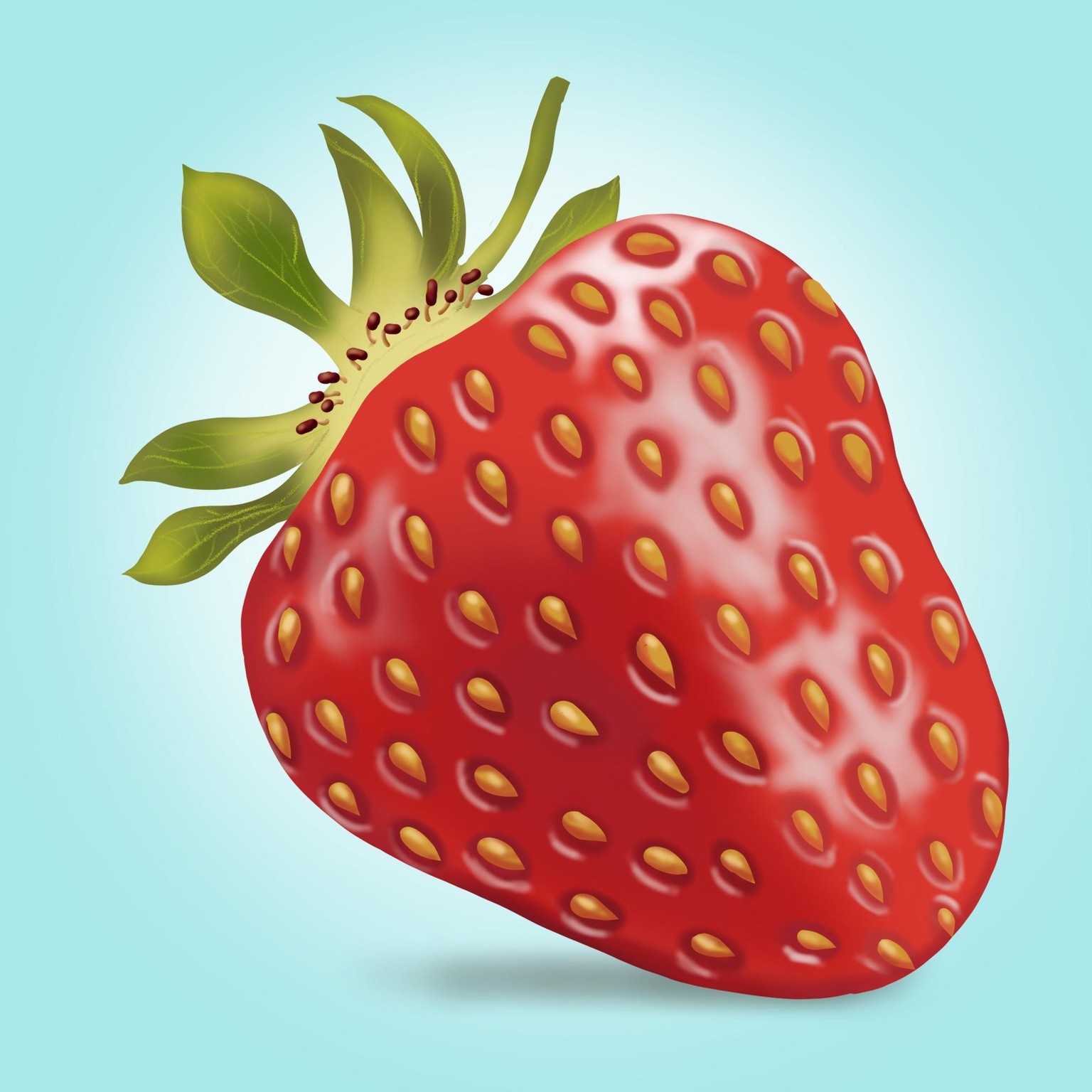 Mein 4 Erdbeeren - image 4 - student project