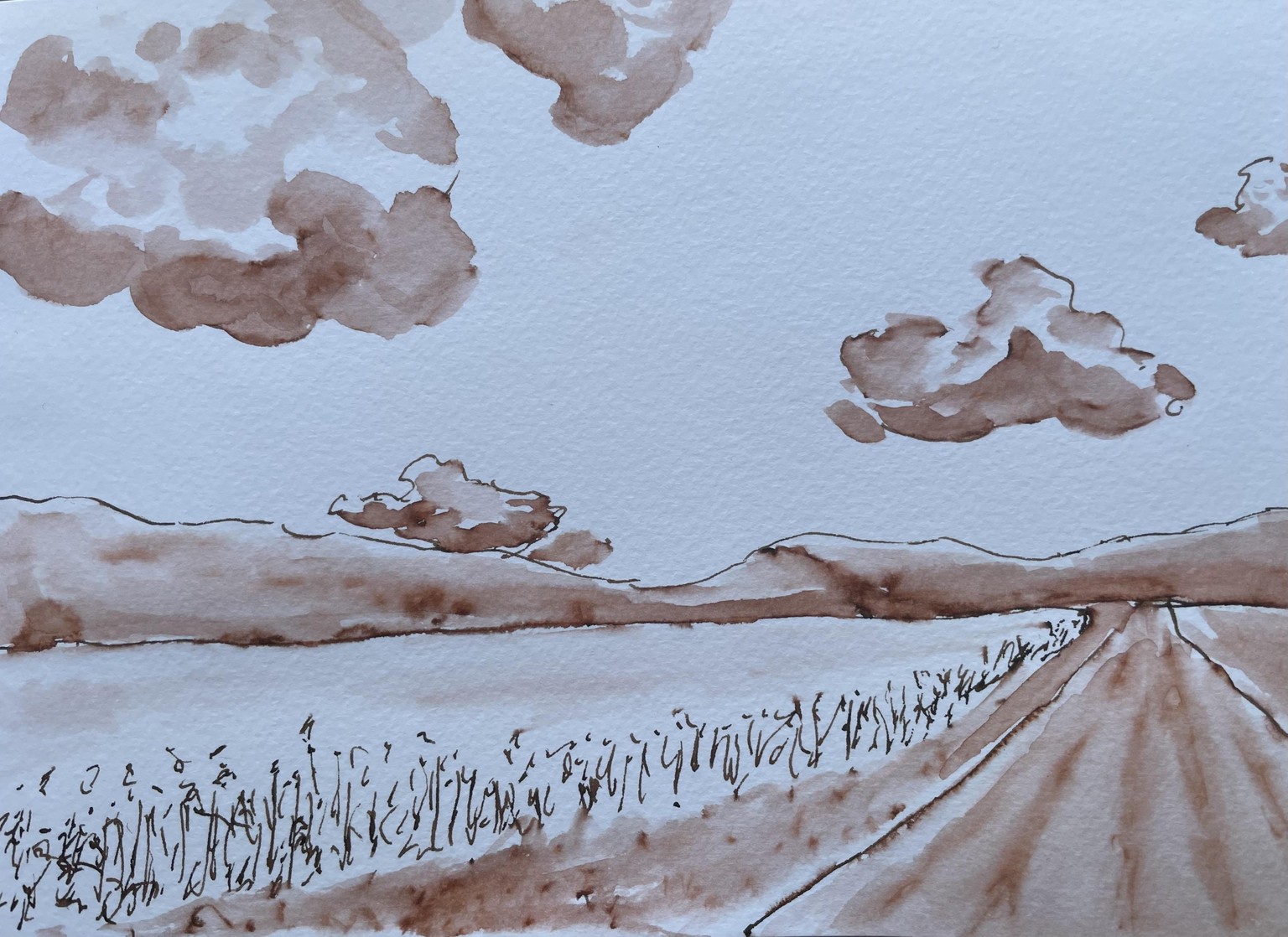 Water soluble ink - image 3 - student project