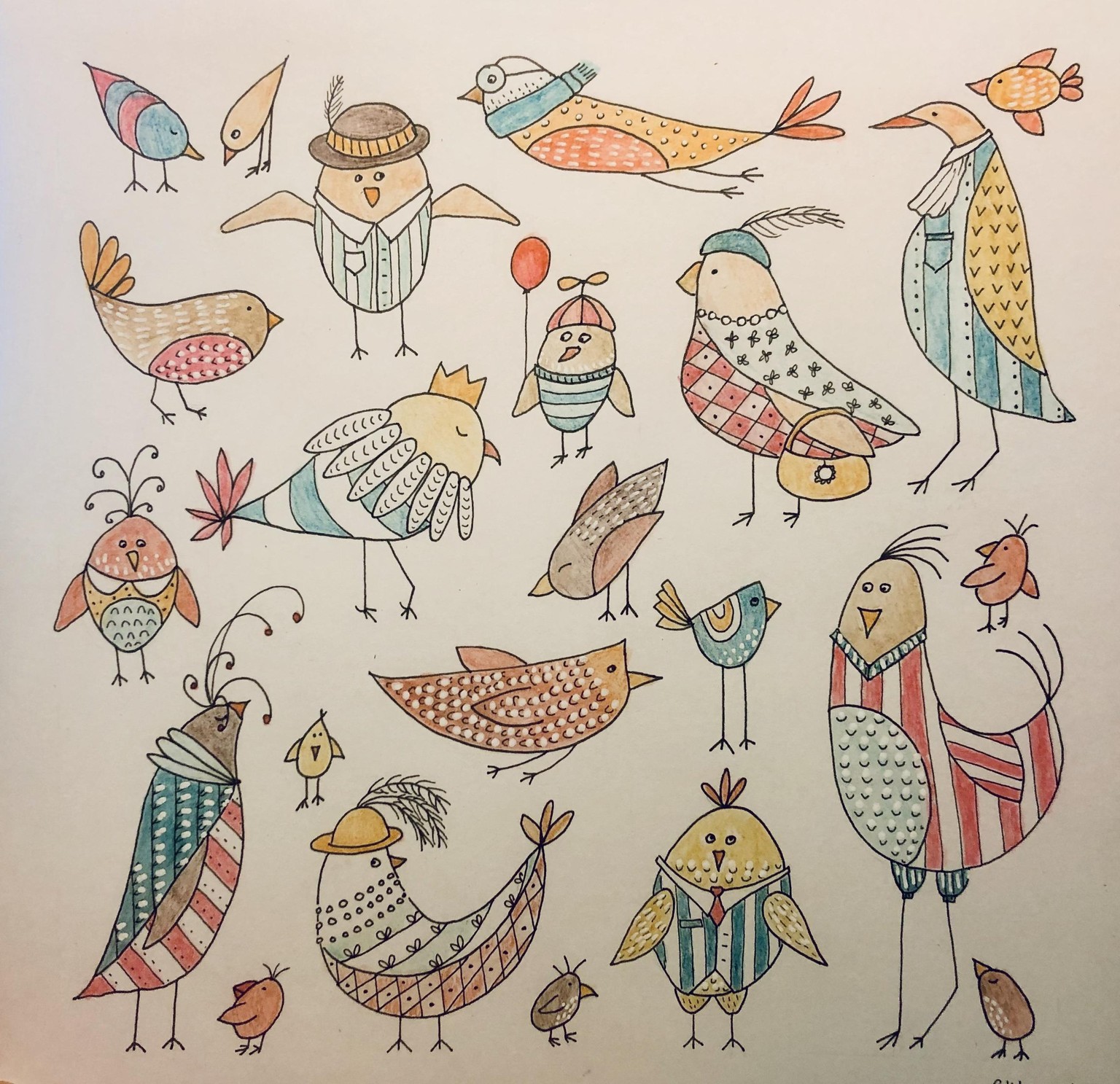 dressy birds - image 1 - student project
