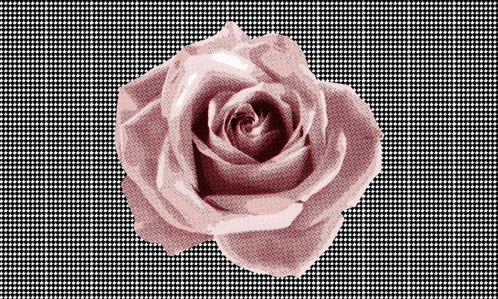 Halftone Rose and Pattern - image 1 - student project