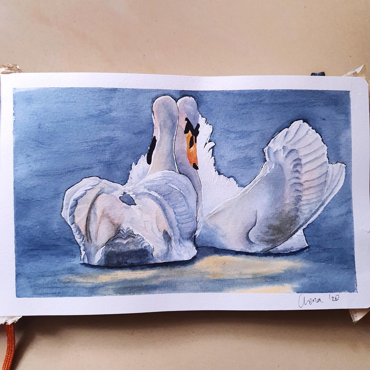 Vibrant Birds - image 4 - student project