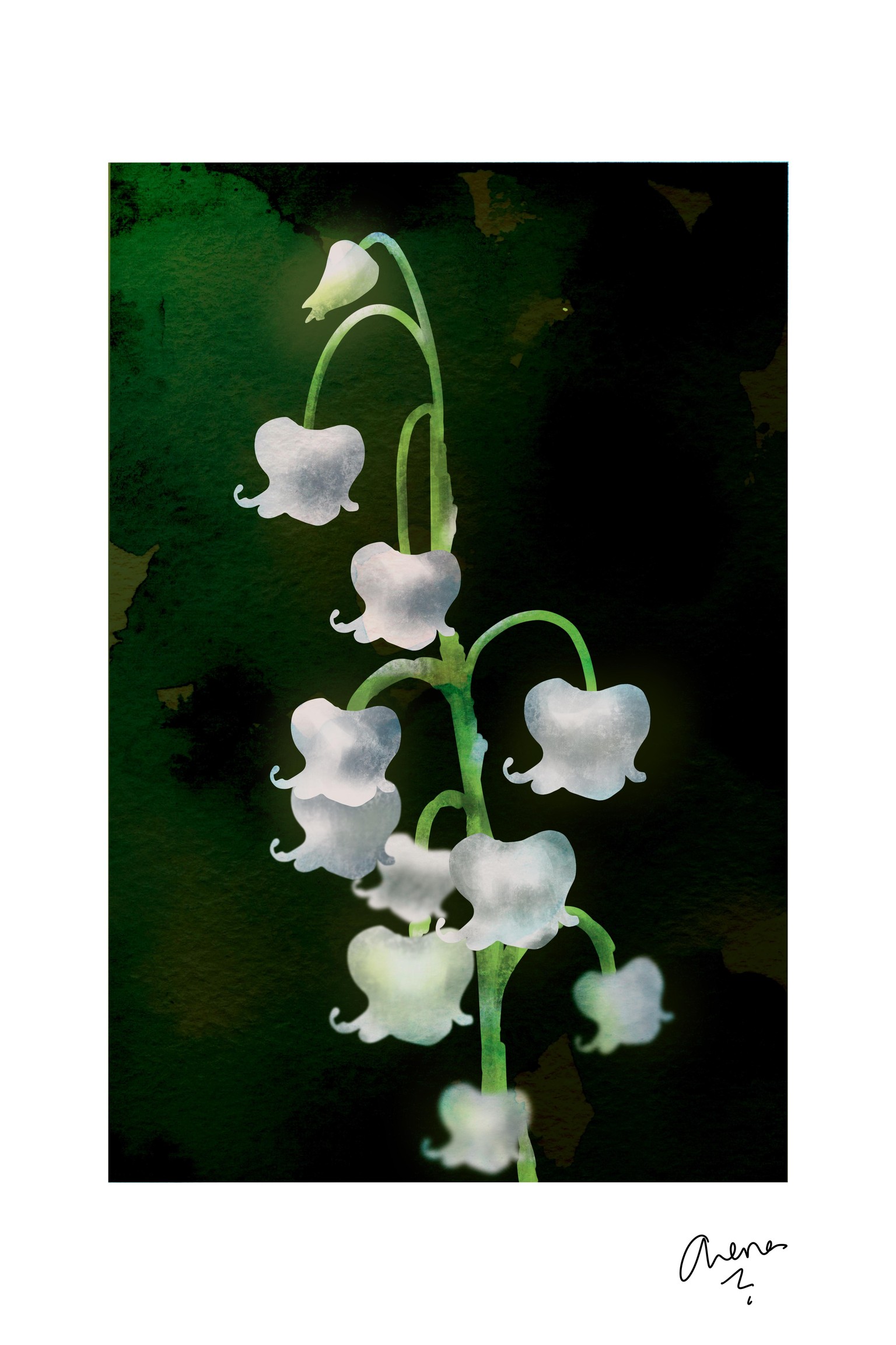 Lily Of The Valley - image 1 - student project