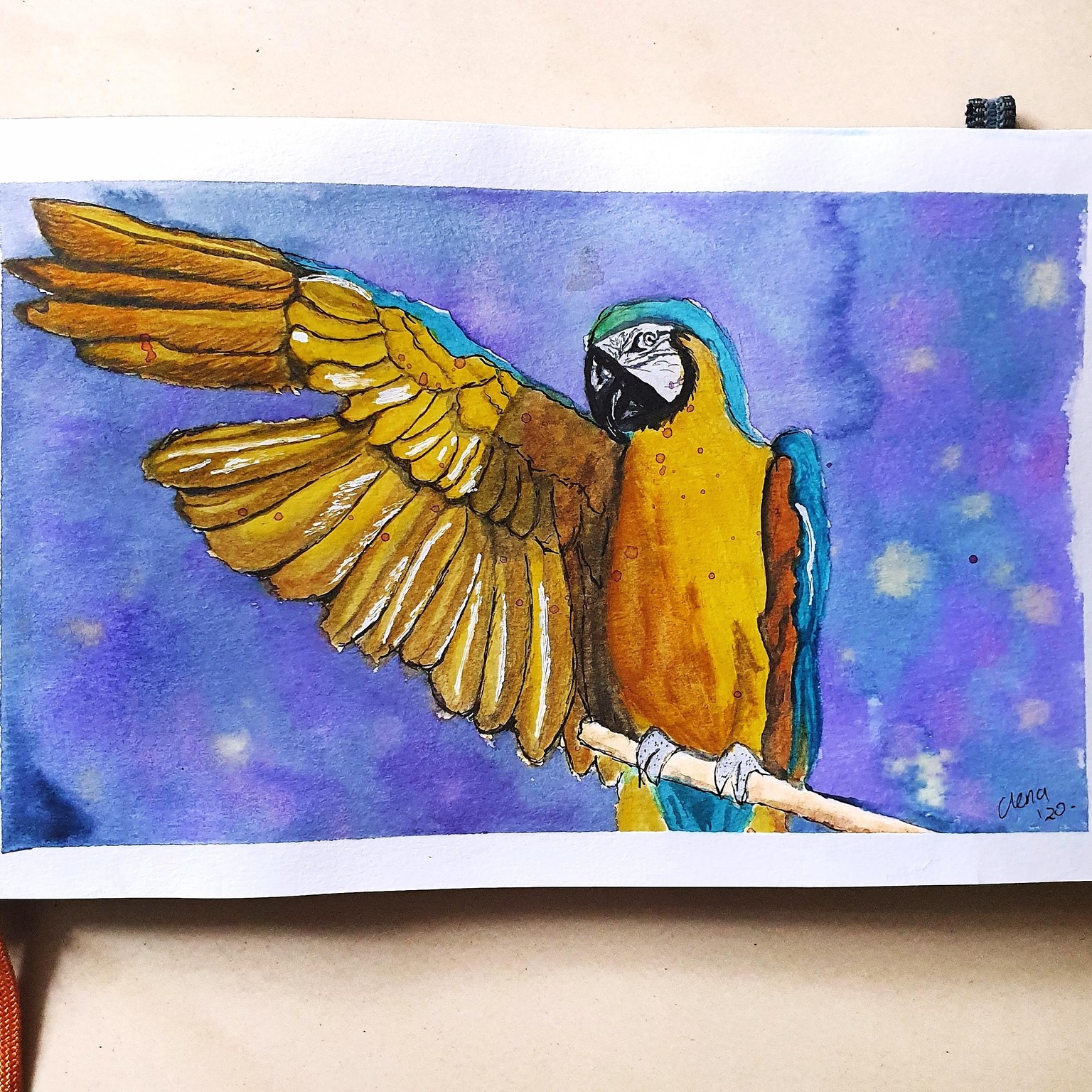Vibrant Birds - image 1 - student project