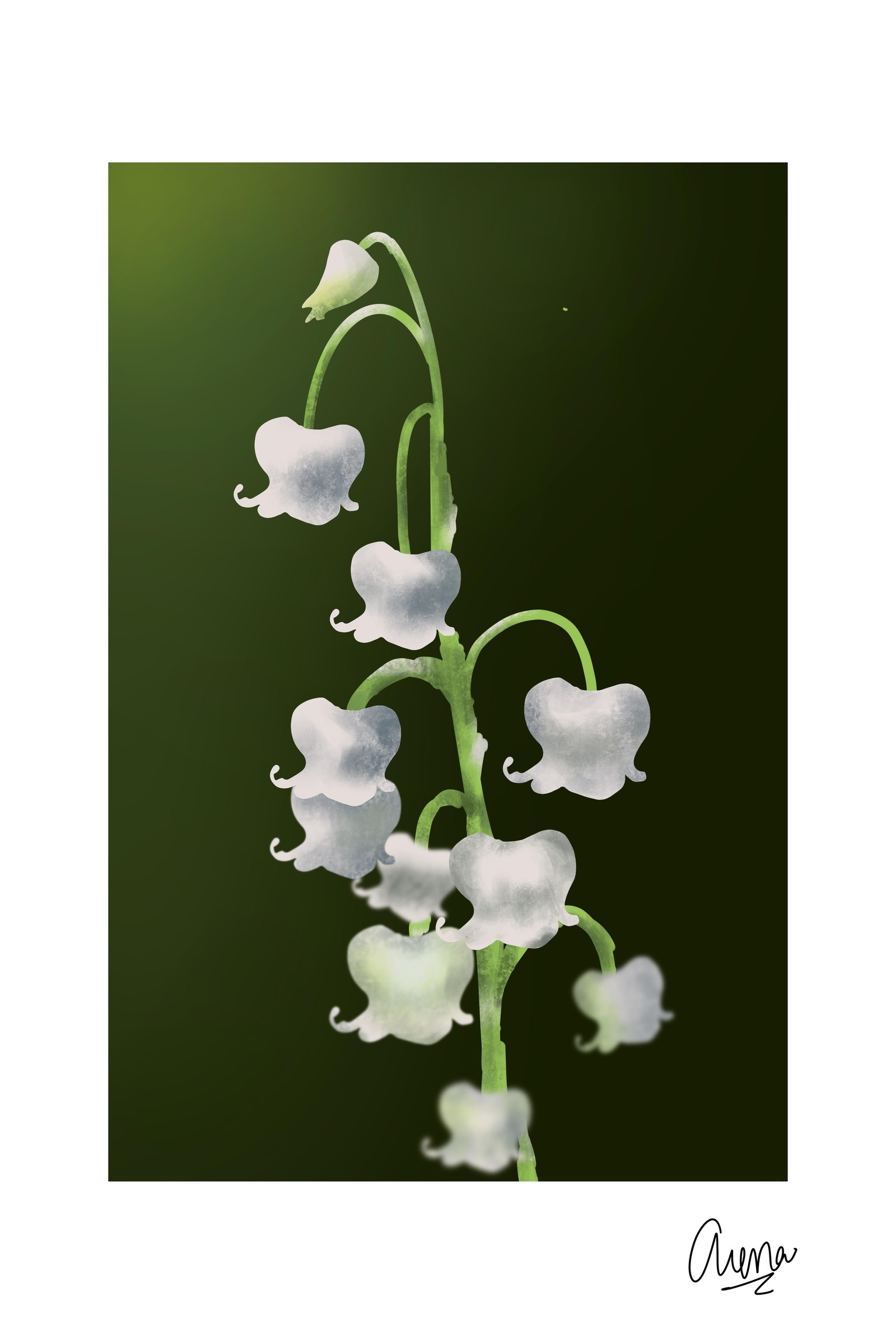 Lily Of The Valley - image 2 - student project