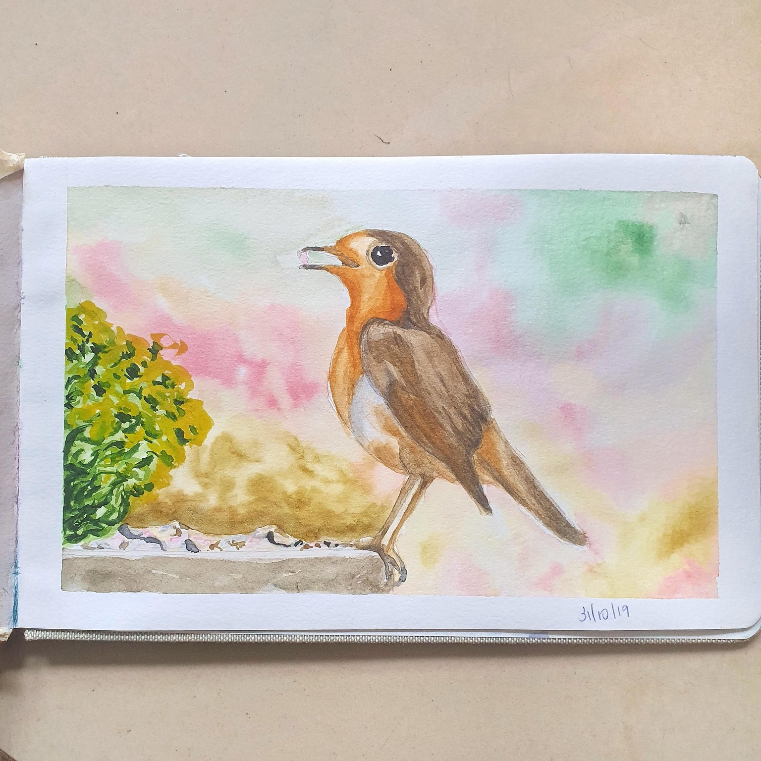 Vibrant Birds - image 3 - student project