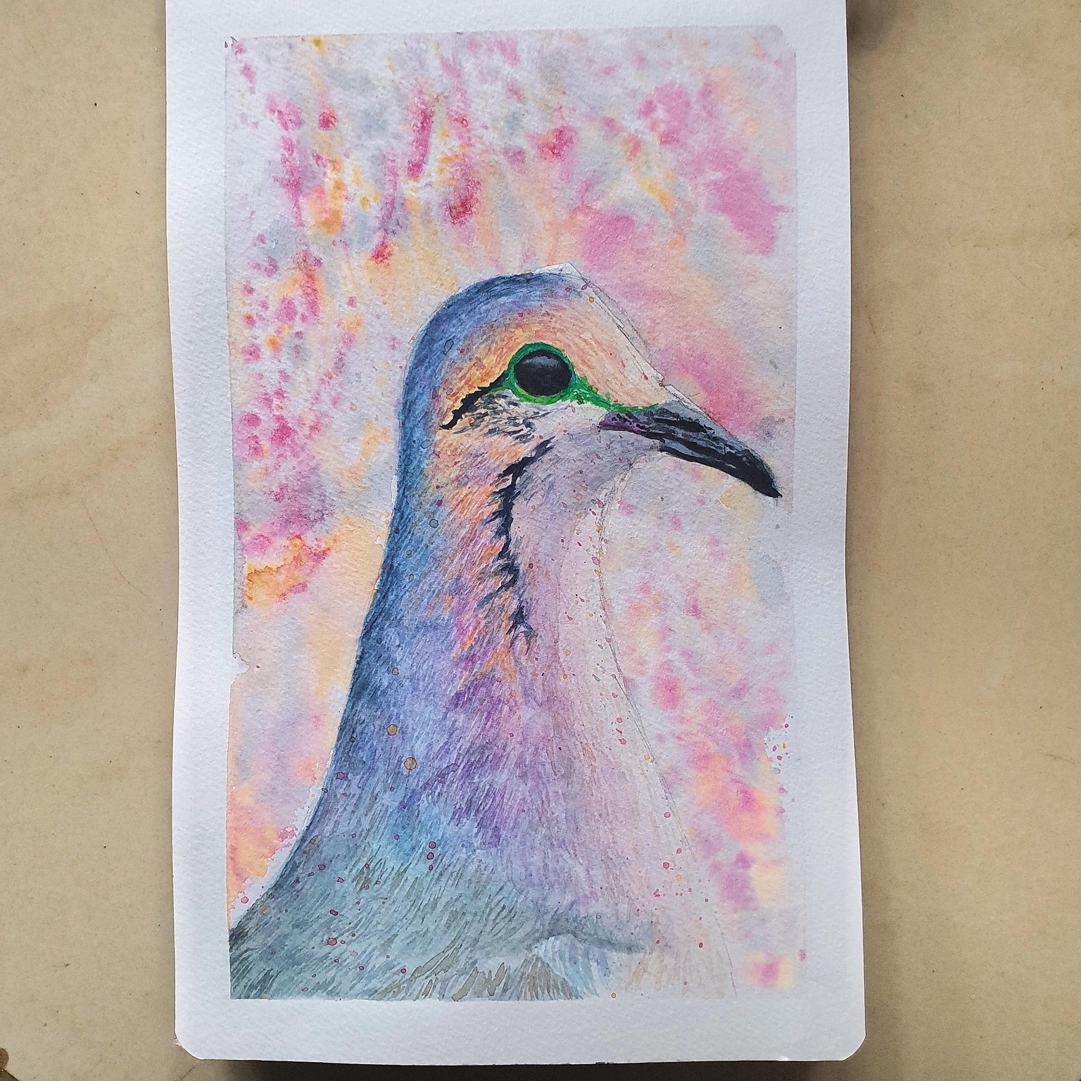 Vibrant Birds - image 2 - student project