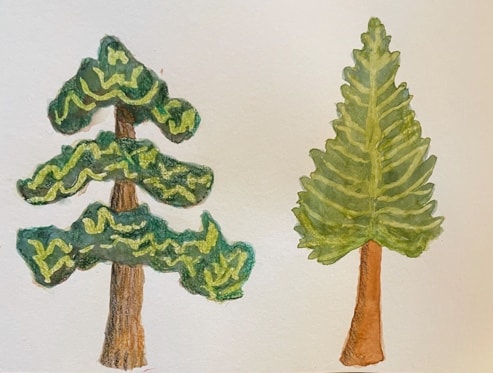 Trees - image 4 - student project