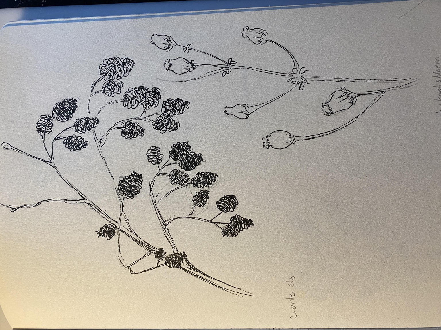 Surface pattern design book - image 8 - student project